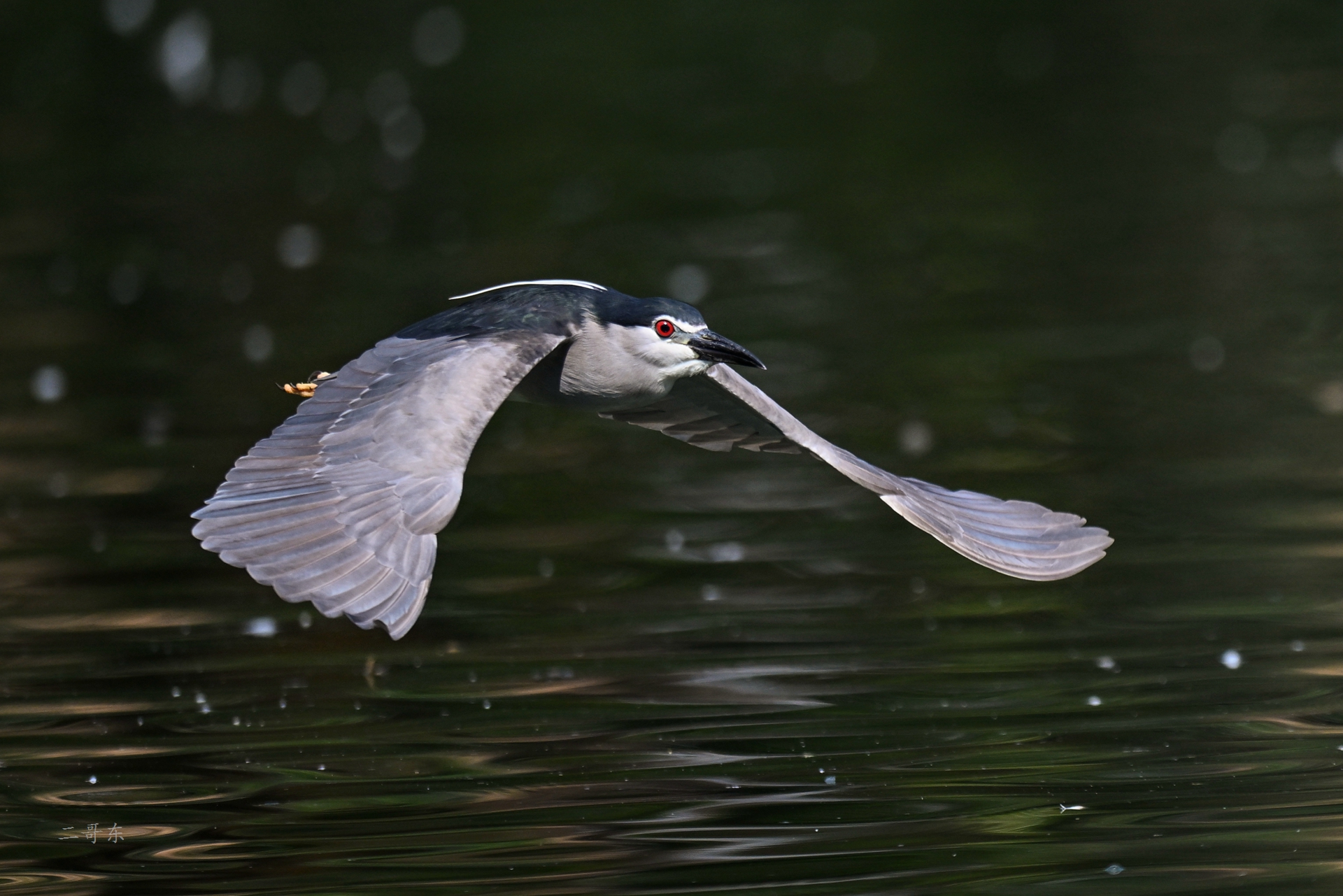 DSC_5884.jpg