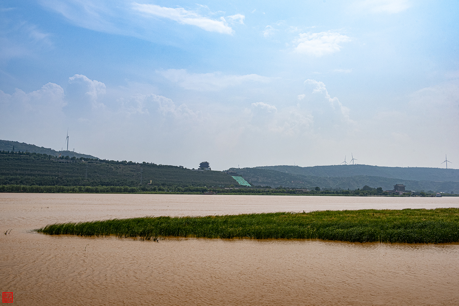 _DSC3206.jpg