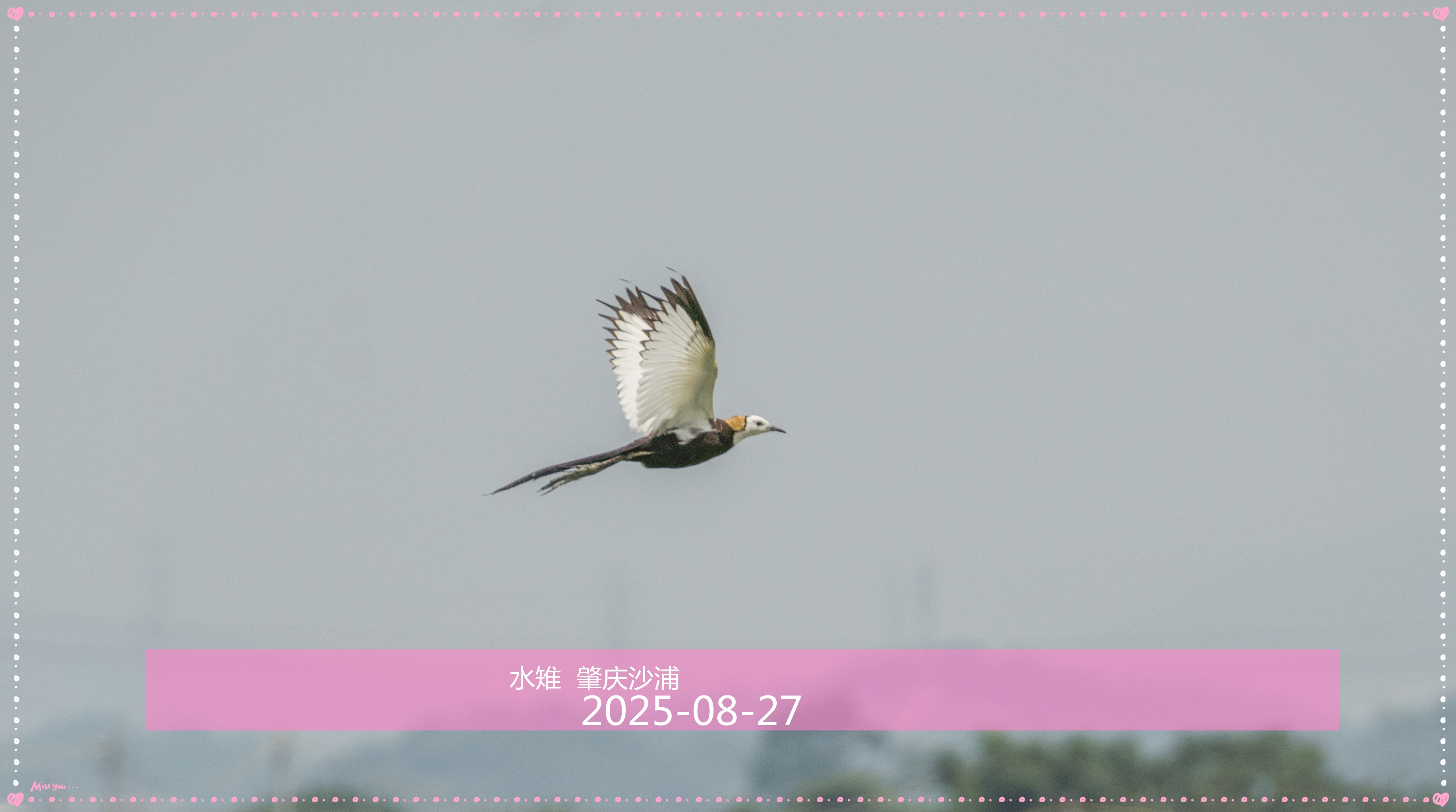 DSC07253.jpg