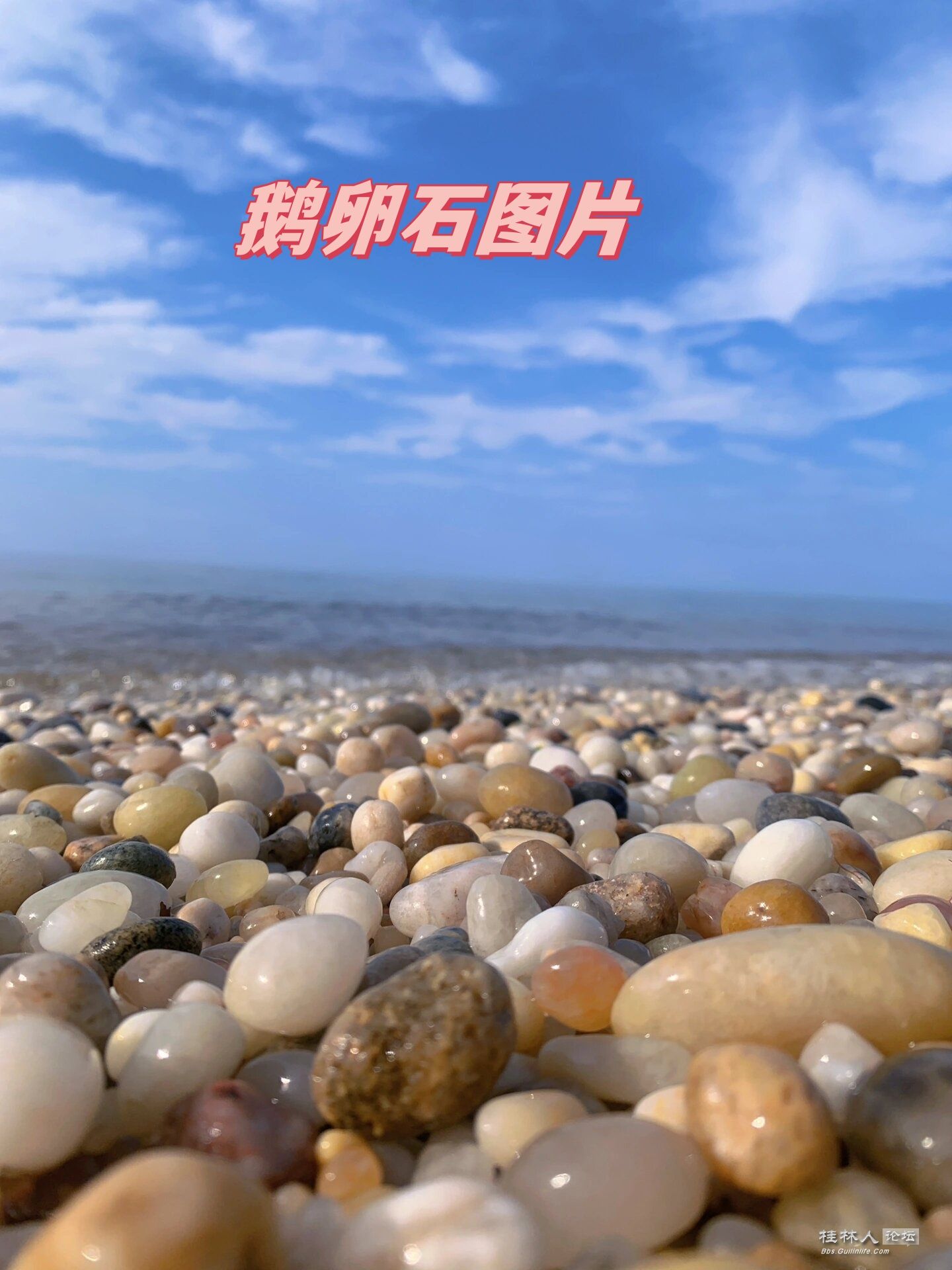 c808a2f06622958cd605207e25d1d44d6825.jpeg