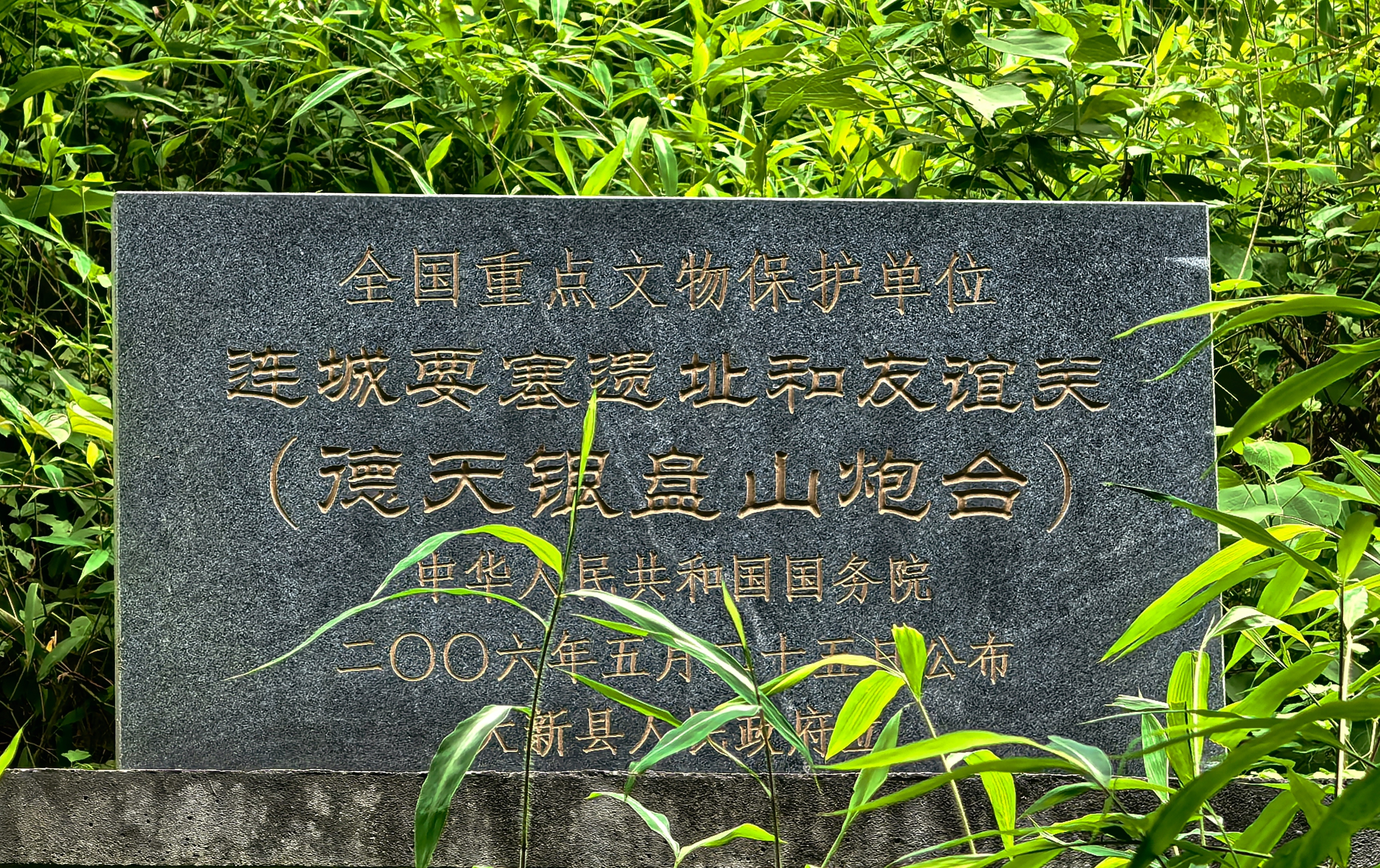 IMG_20250911_120128.jpg