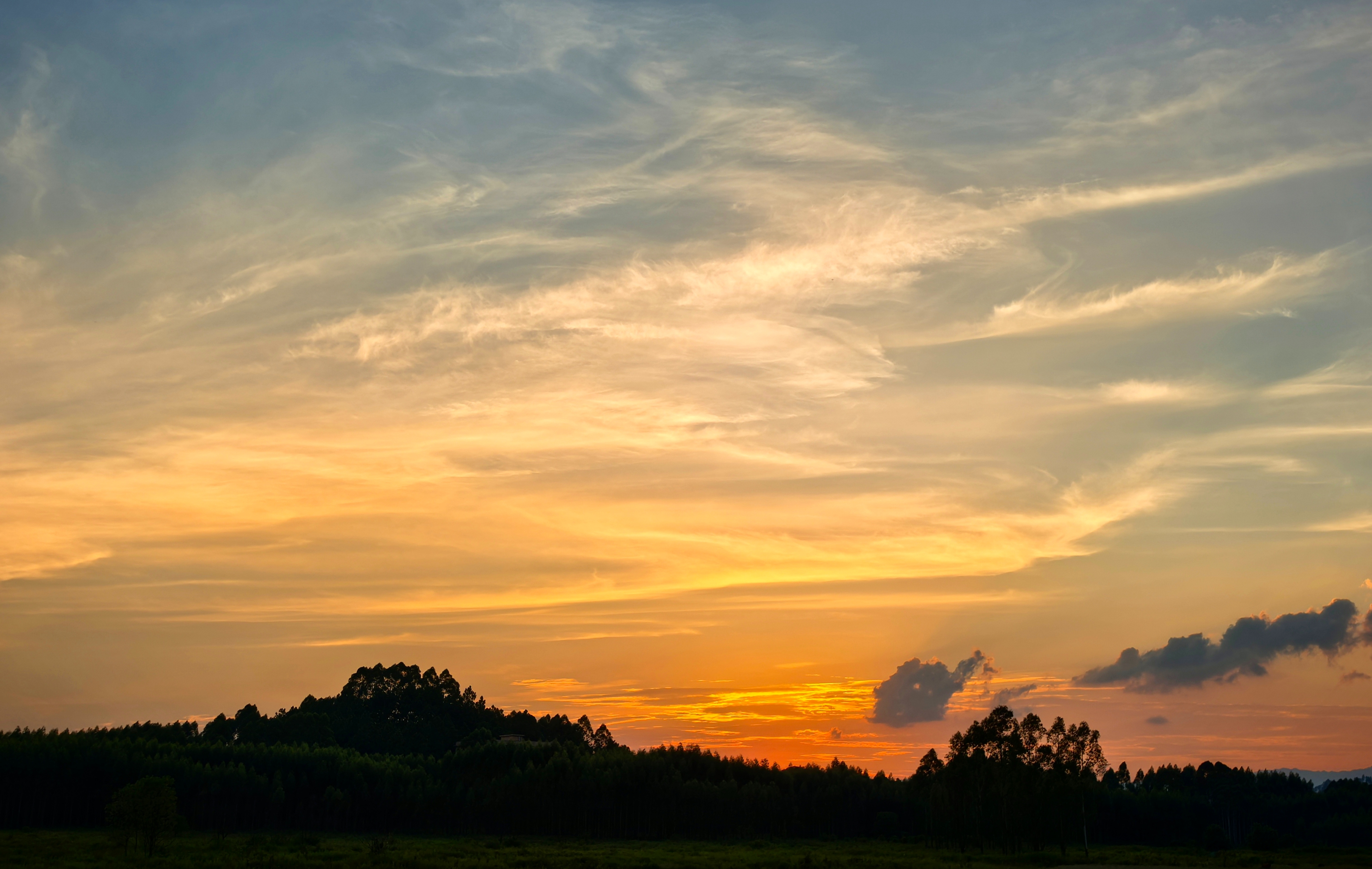 IMG_20250914_183456.jpg