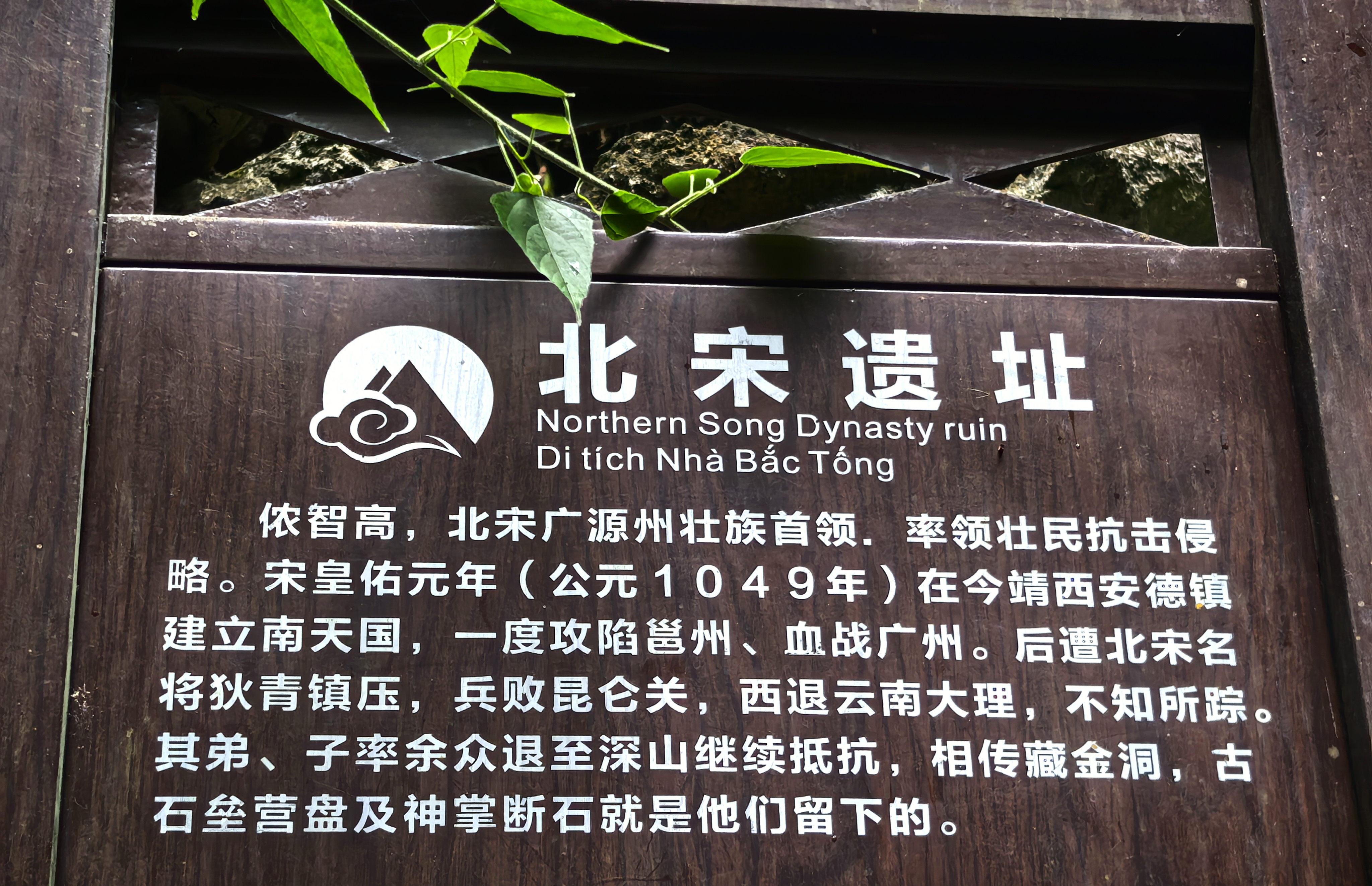 IMG_20250911_153547.jpg