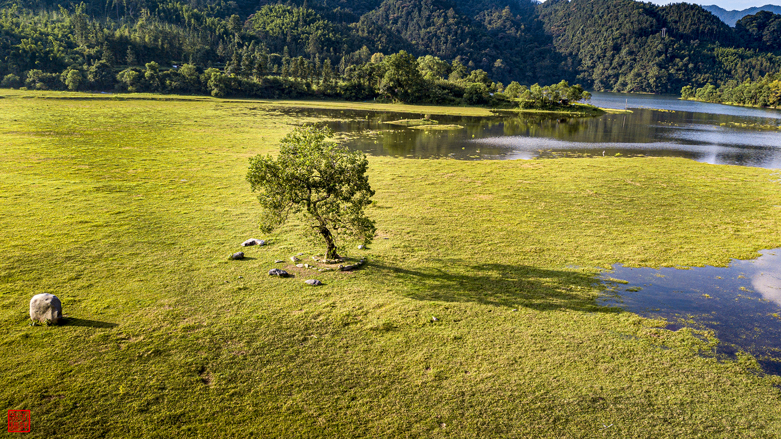 DJI_0013.jpg