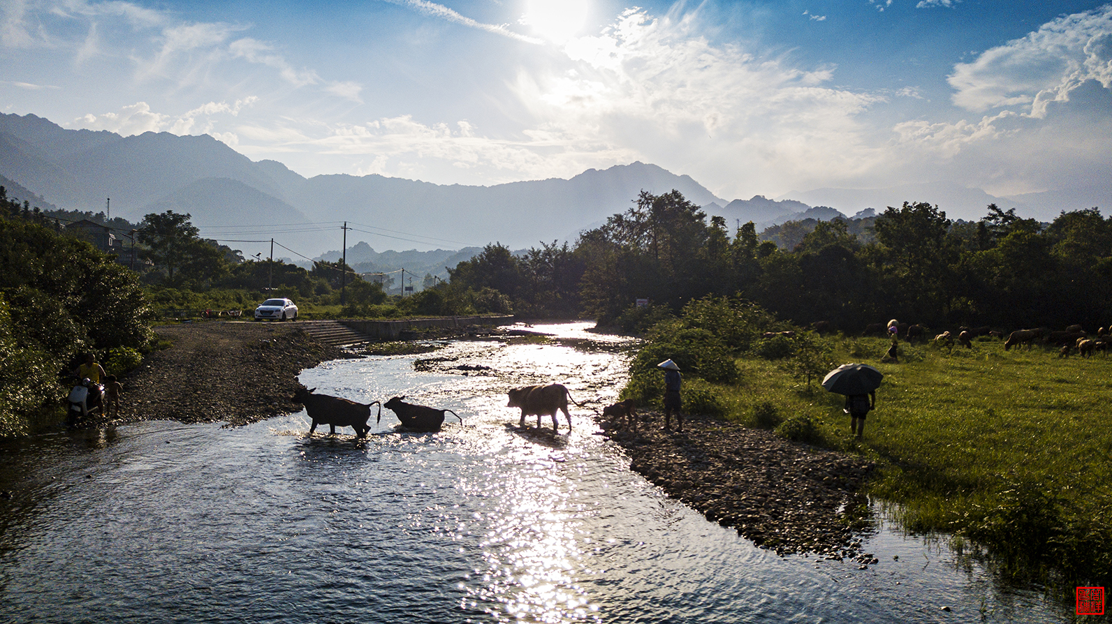 DJI_0025.jpg
