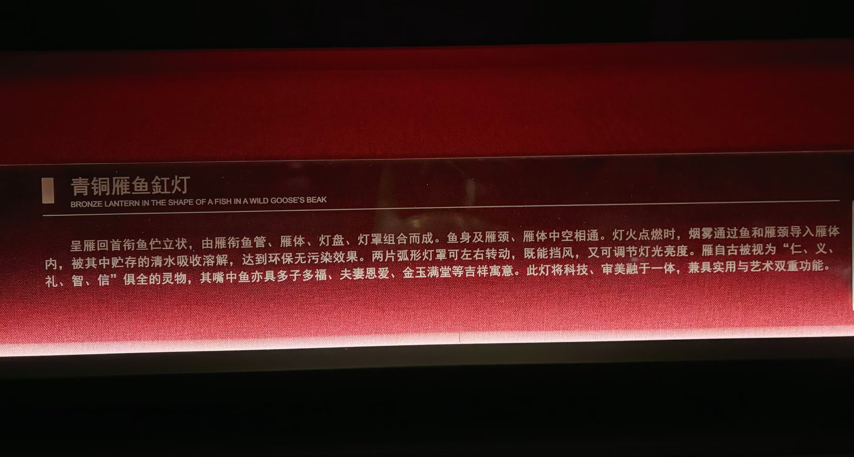 54.jpg