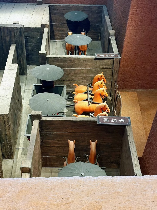 96.jpg