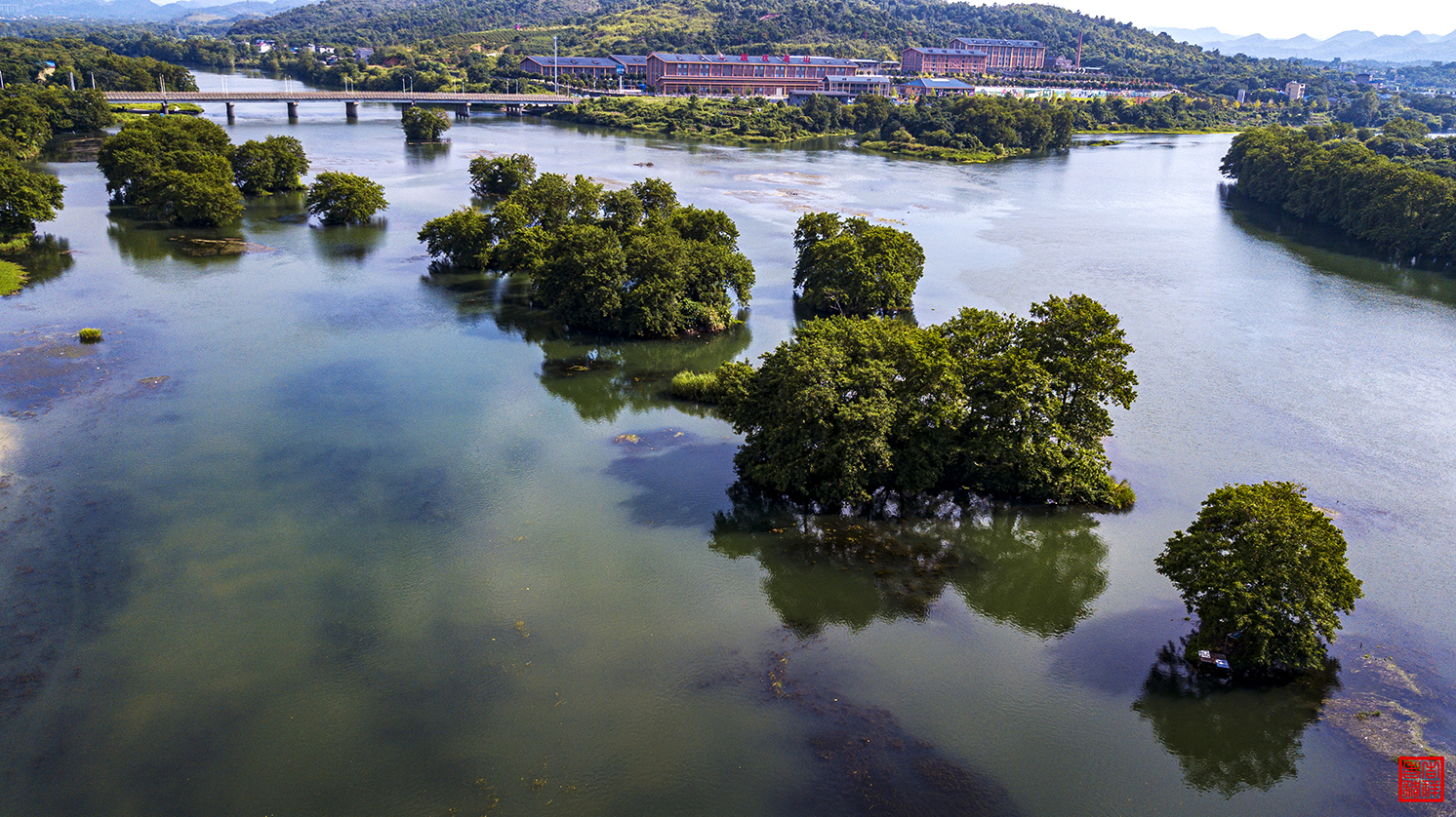 DJI_0245.jpg