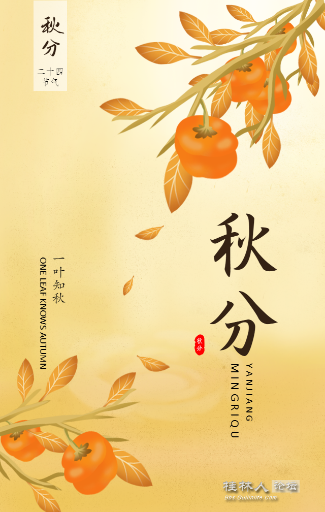 16310726917317691.png