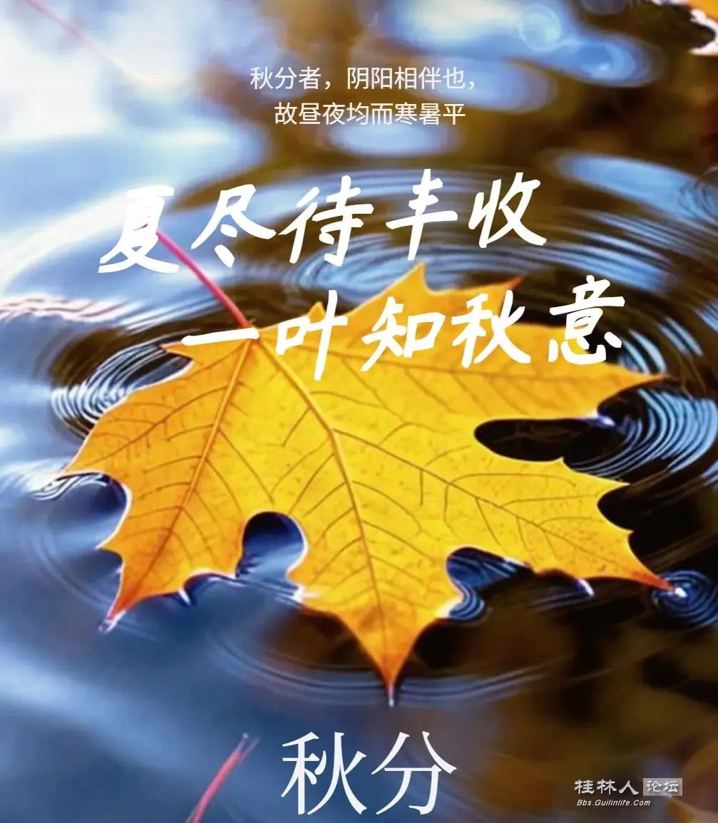 b2f18c264e5b45d8920854d70df1c183_ͼ.jpg