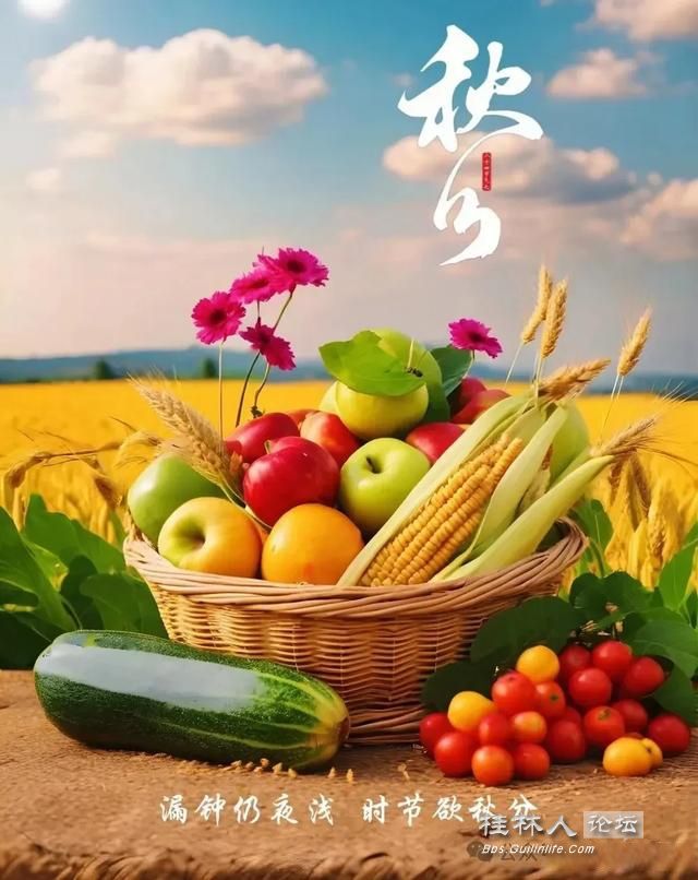 u=1517894119,159683635&fm=222&app=106&f=JPEG.jpg