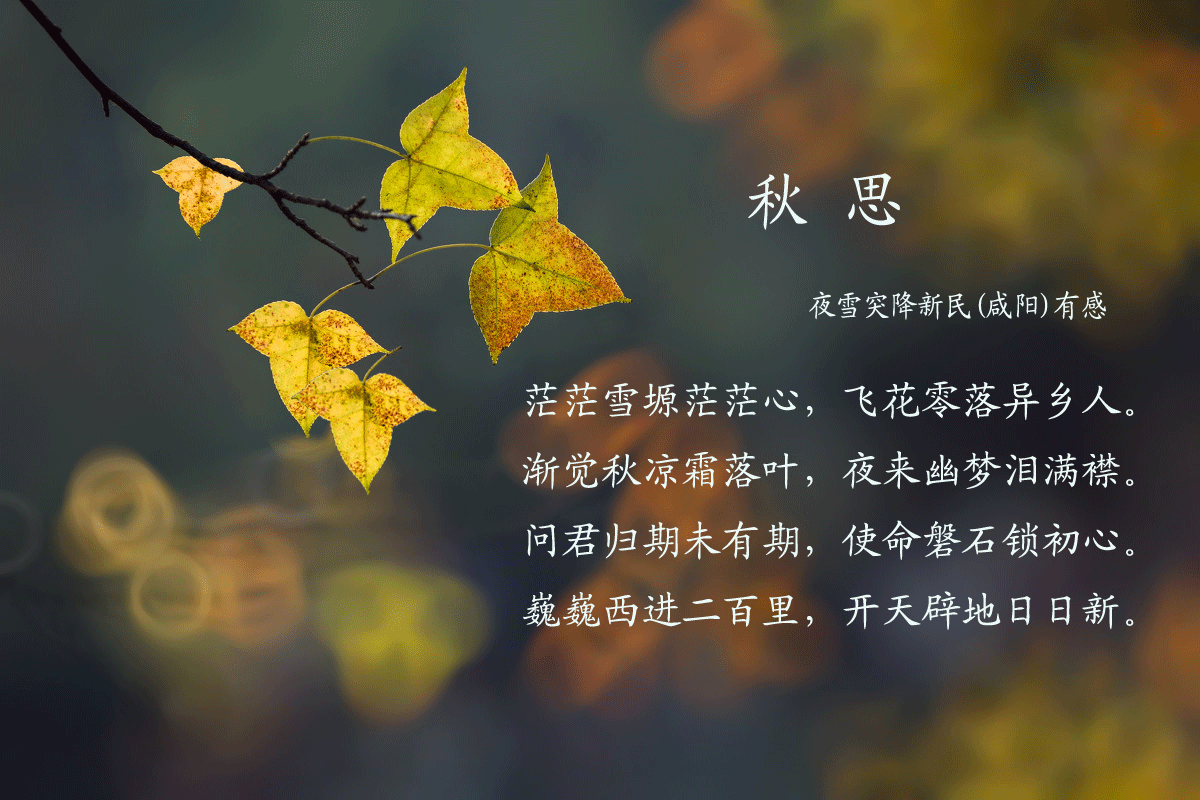 5e1af35725b94289424f095fec9b1d14.gif
