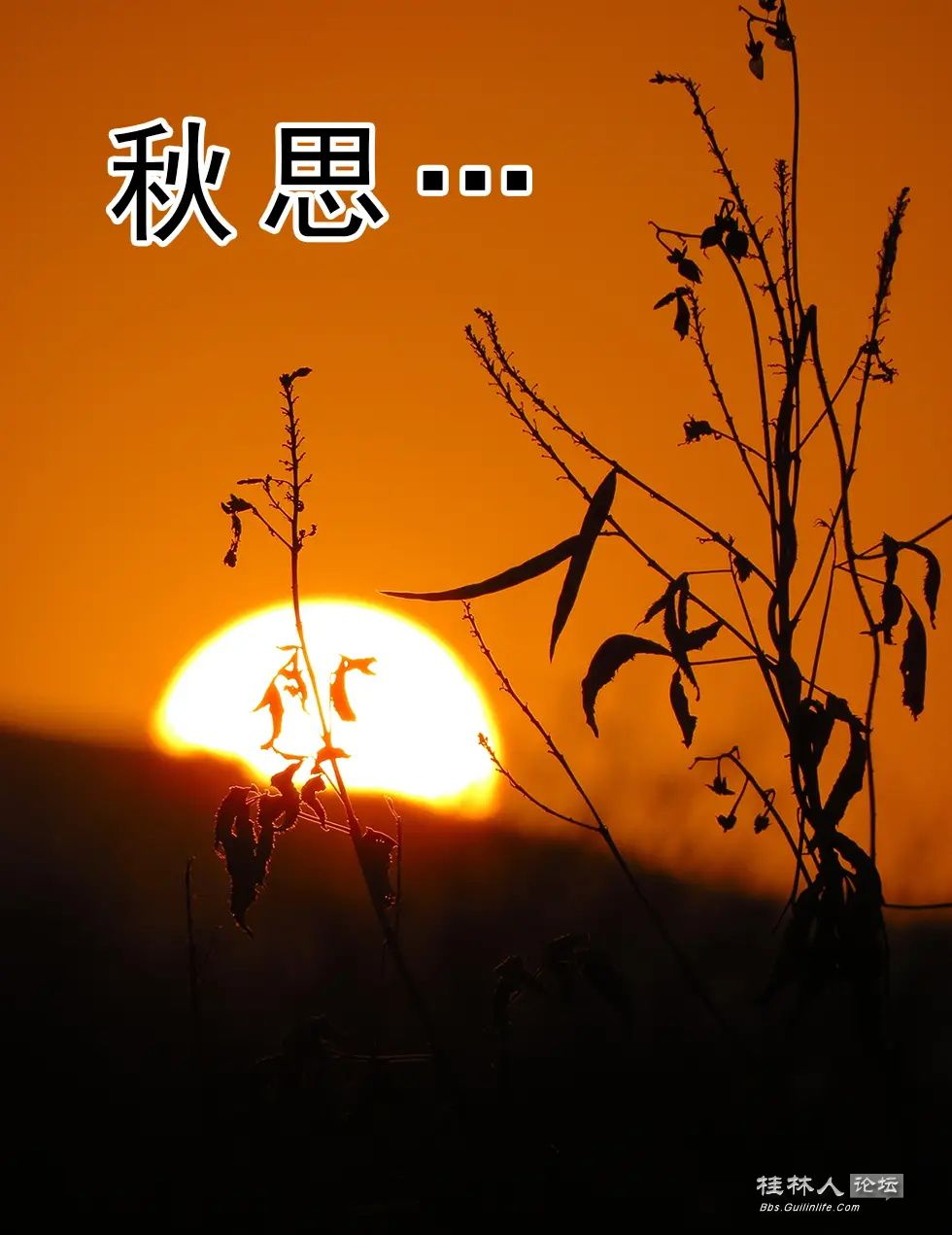 58f8aea589214ec0a0c7a9d671e0b76d_ͼ.jpg