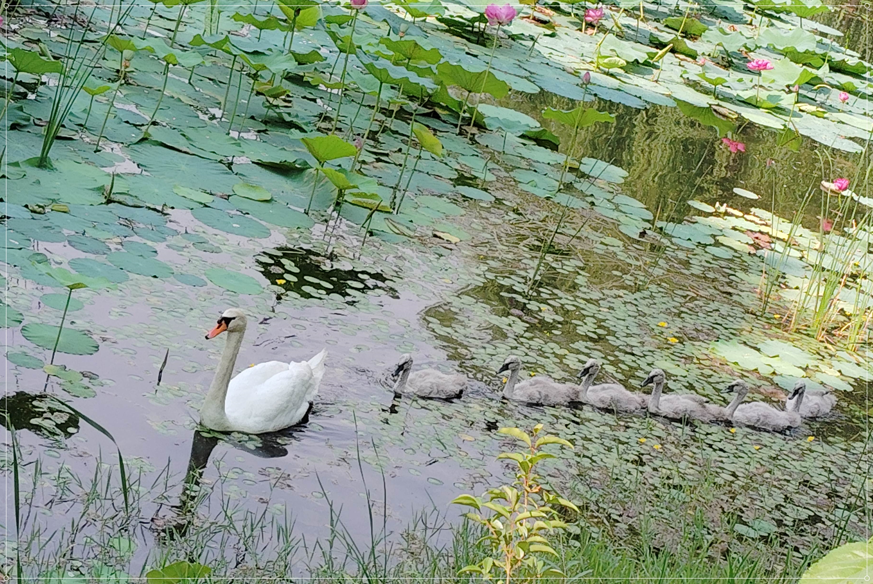 ֣ 