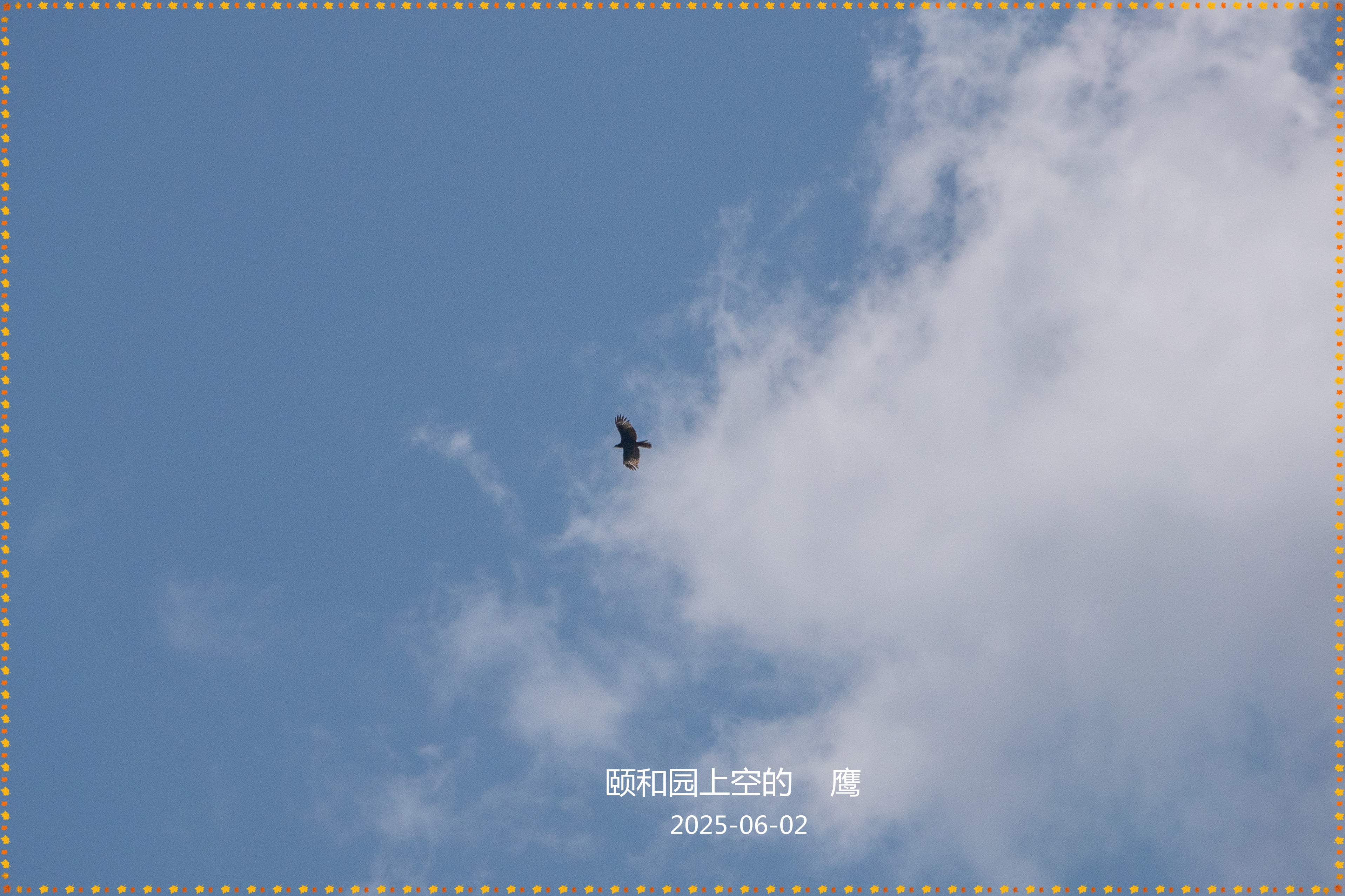 Բ԰Ͽյ ӥ