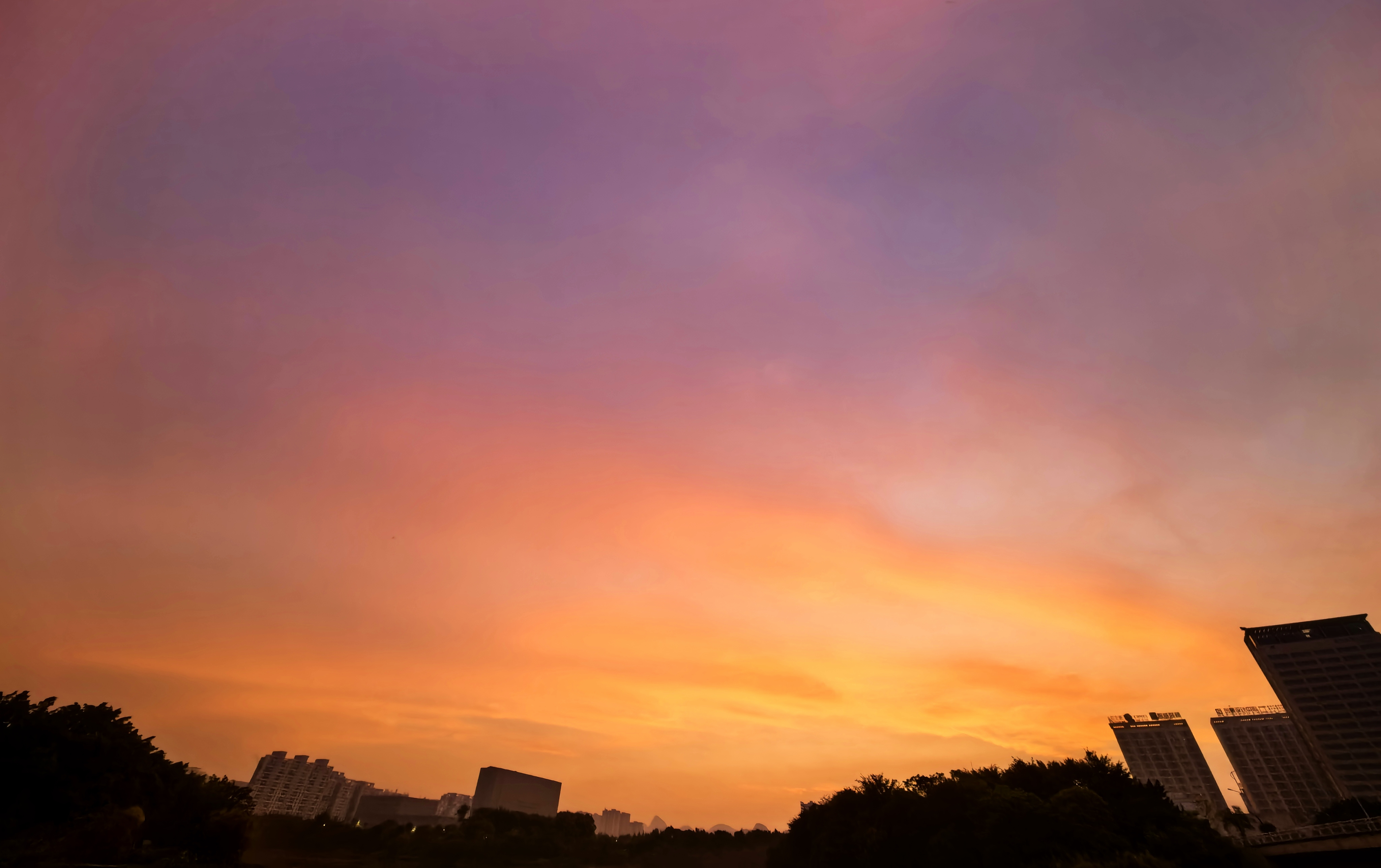 IMG_20251001_062553.jpg