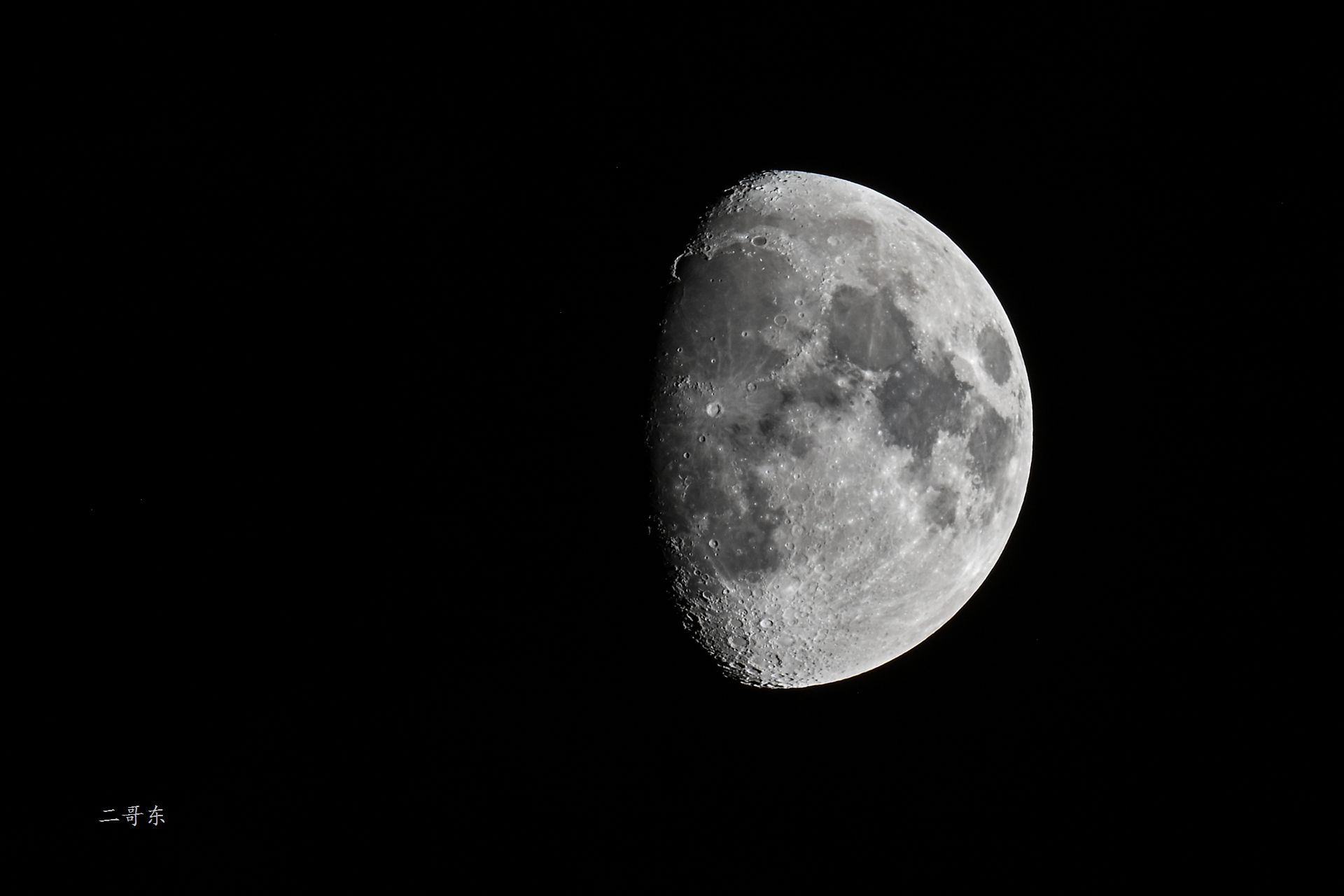 DSC_7767.jpg