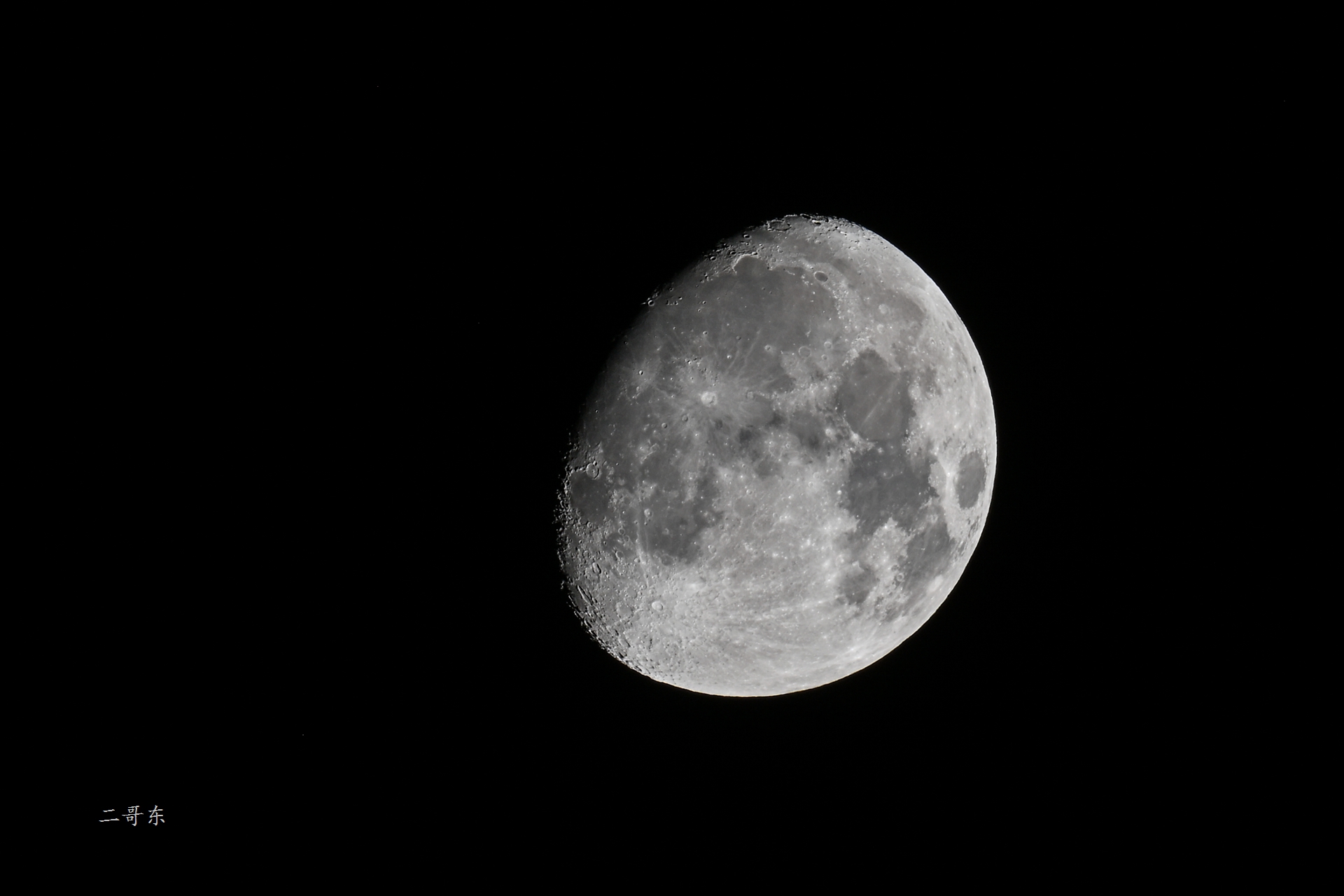 DSC_3819.jpg
