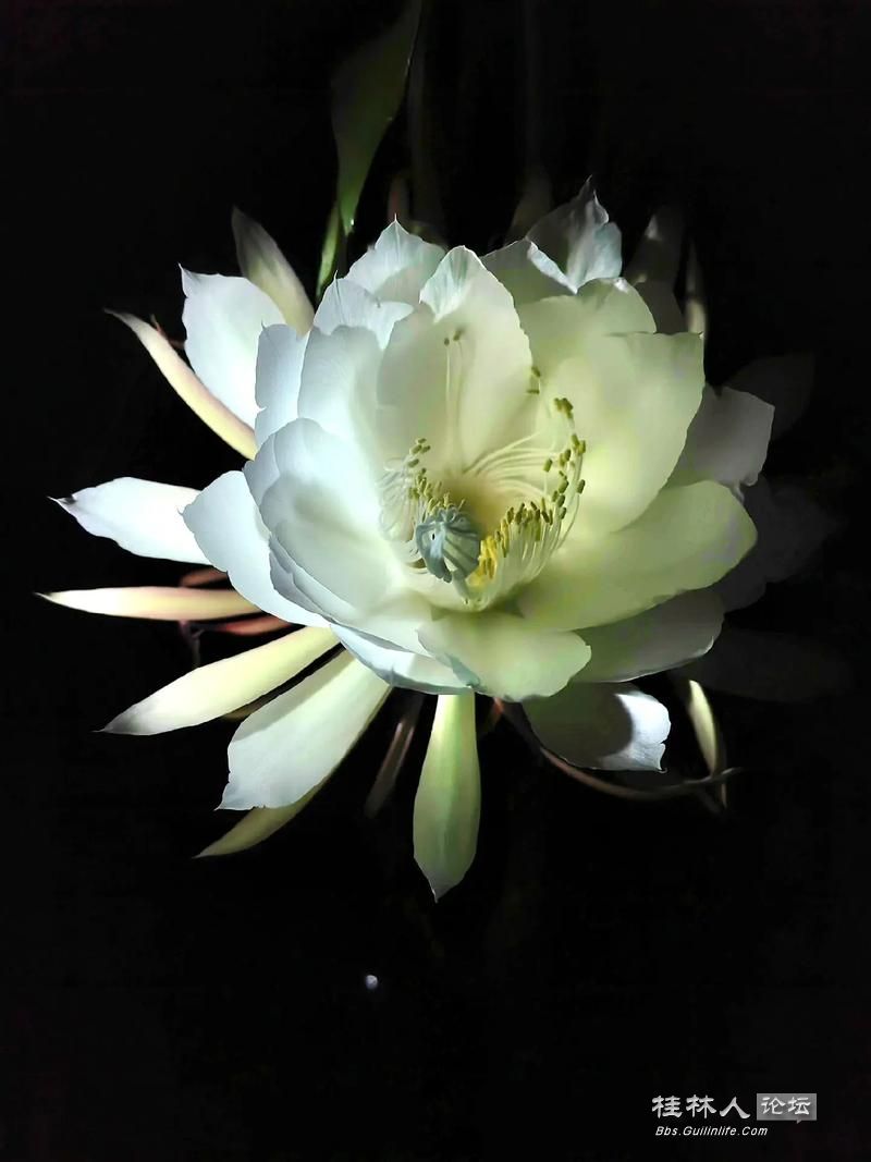 u=689791318,981391187&fm=253&app=138&f=JPEG.jpg