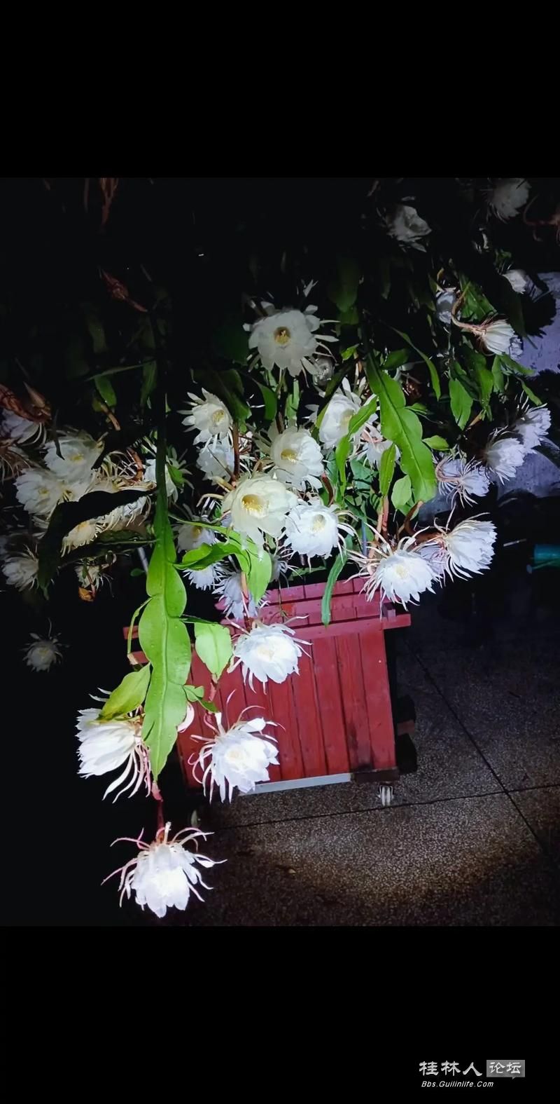 u=1438628757,2884821734&fm=253&app=138&f=JPEG.jpg