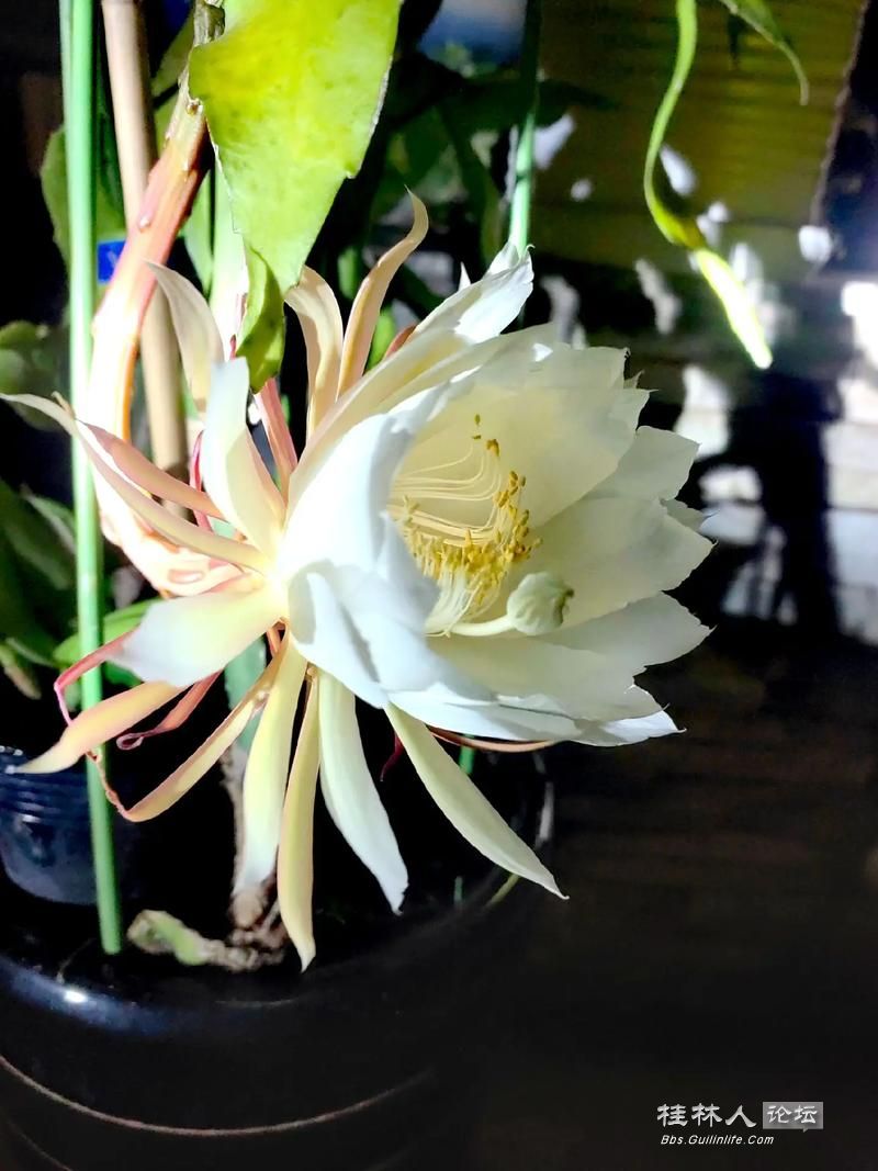 u=3907772037,1513518453&fm=253&app=138&f=JPEG.jpg