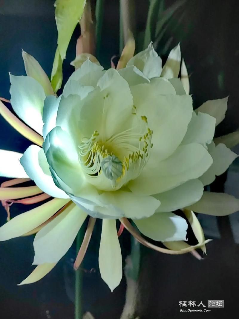 u=3773591076,2058775062&fm=253&app=138&f=JPEG.jpg