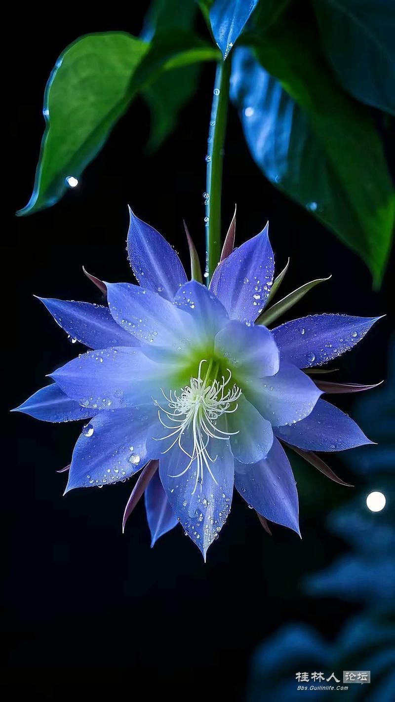 u=4203190512,3865871879&fm=253&app=138&f=JPEG.jpg