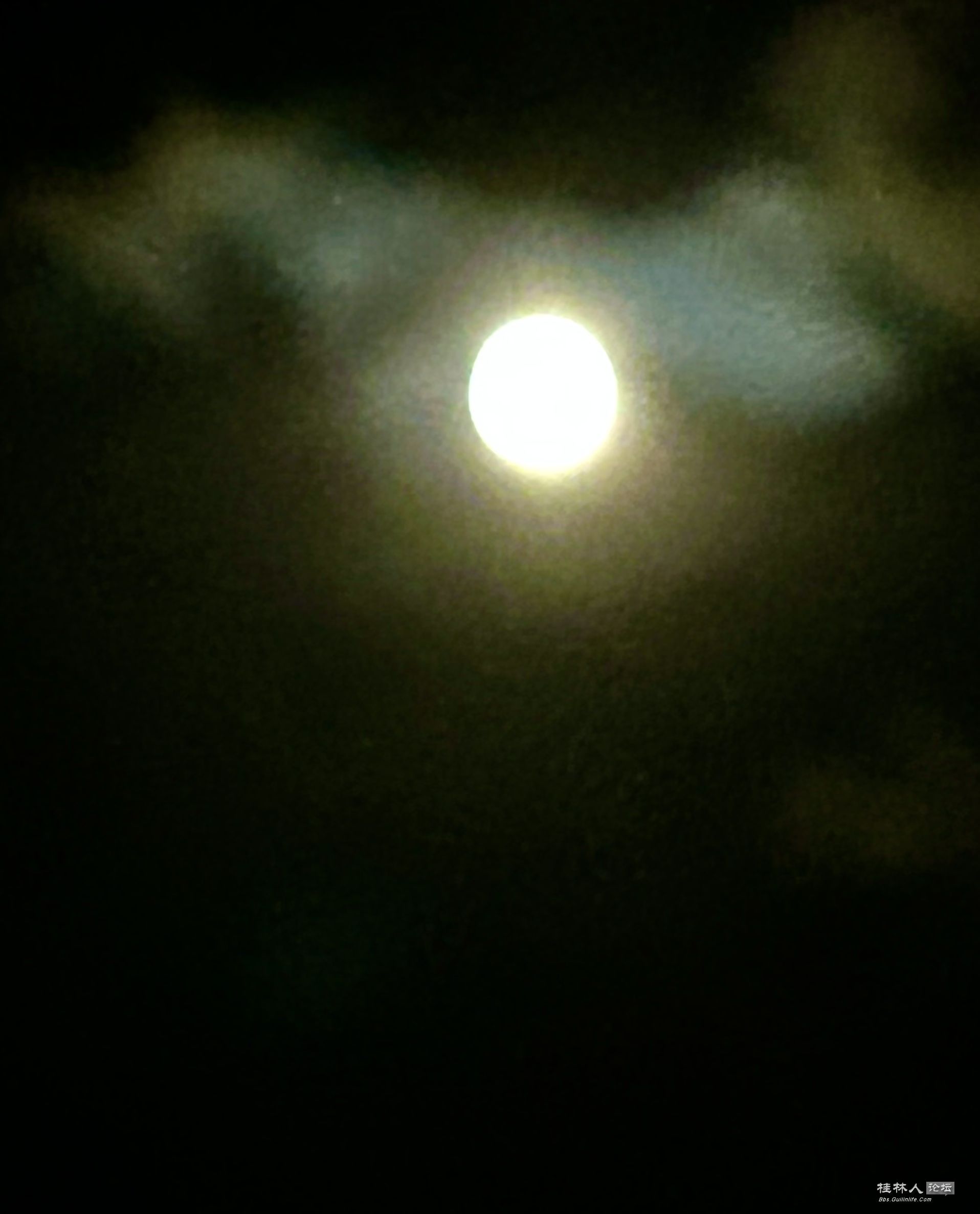 ΢ͼƬ_20251007085158_39_1338.jpg