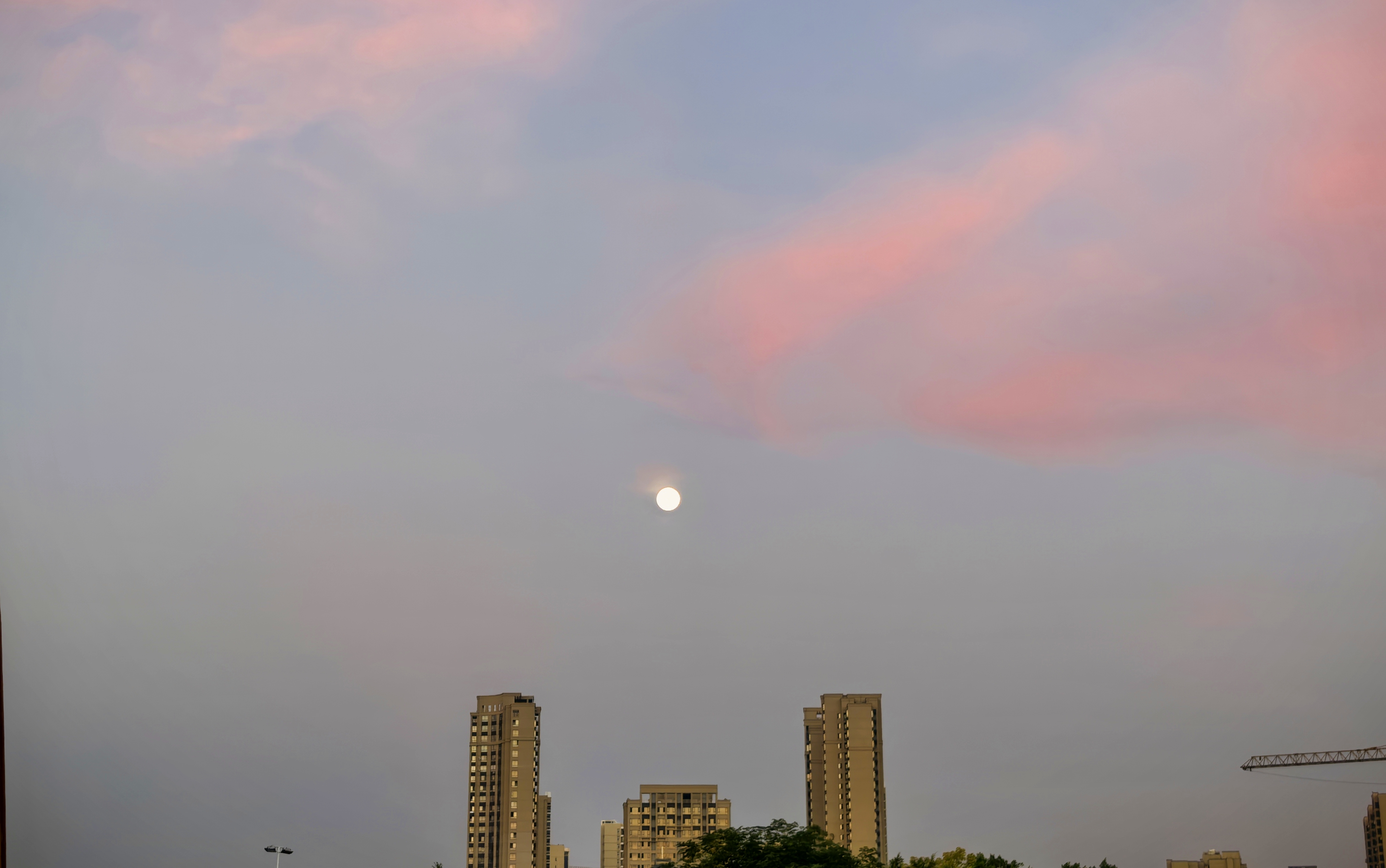 IMG_20251008_062616.jpg