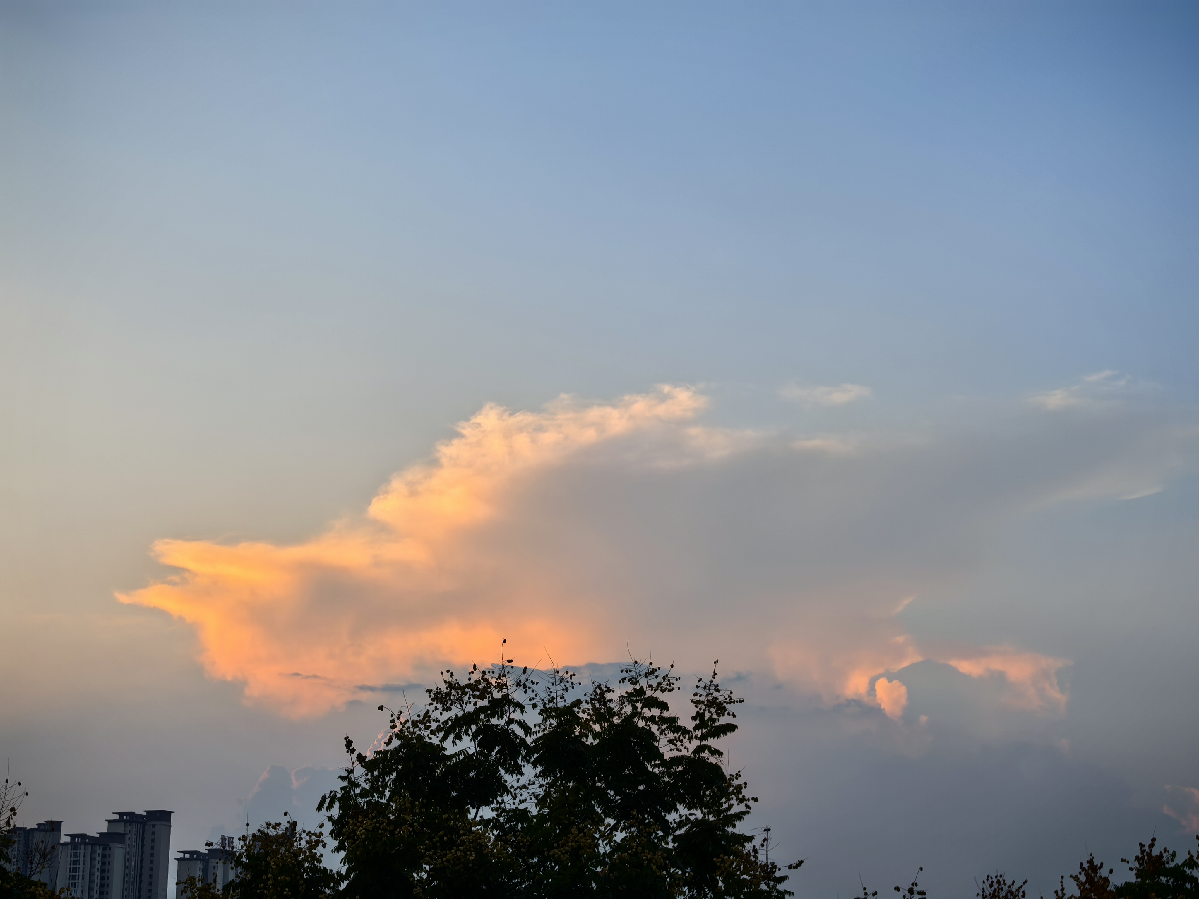 IMG_20251009_181252.jpg
