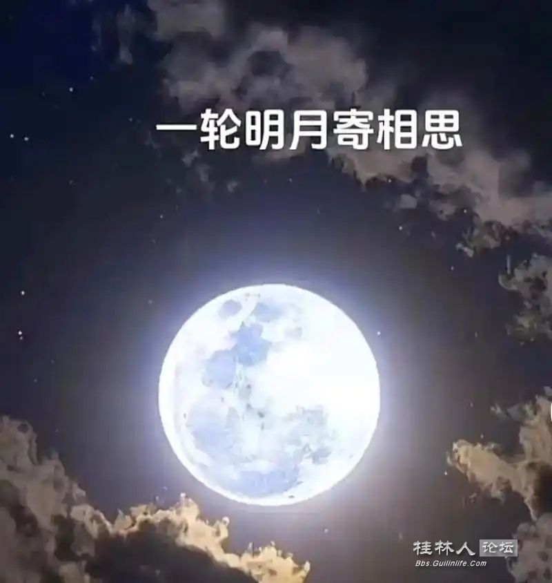 u=2686957180,2659256895&fm=253&fmt=auto&app=138&f=JPEG_ͼ.jpg