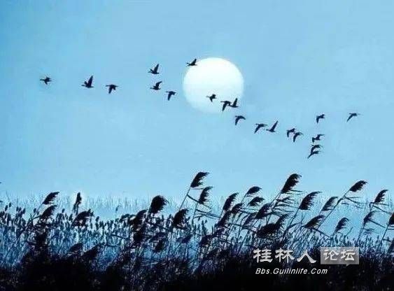 XyU4qz6FgqYZGmGTnBveXw29fc17cca6fe67f94c1c825320ea9d8d.jpg
