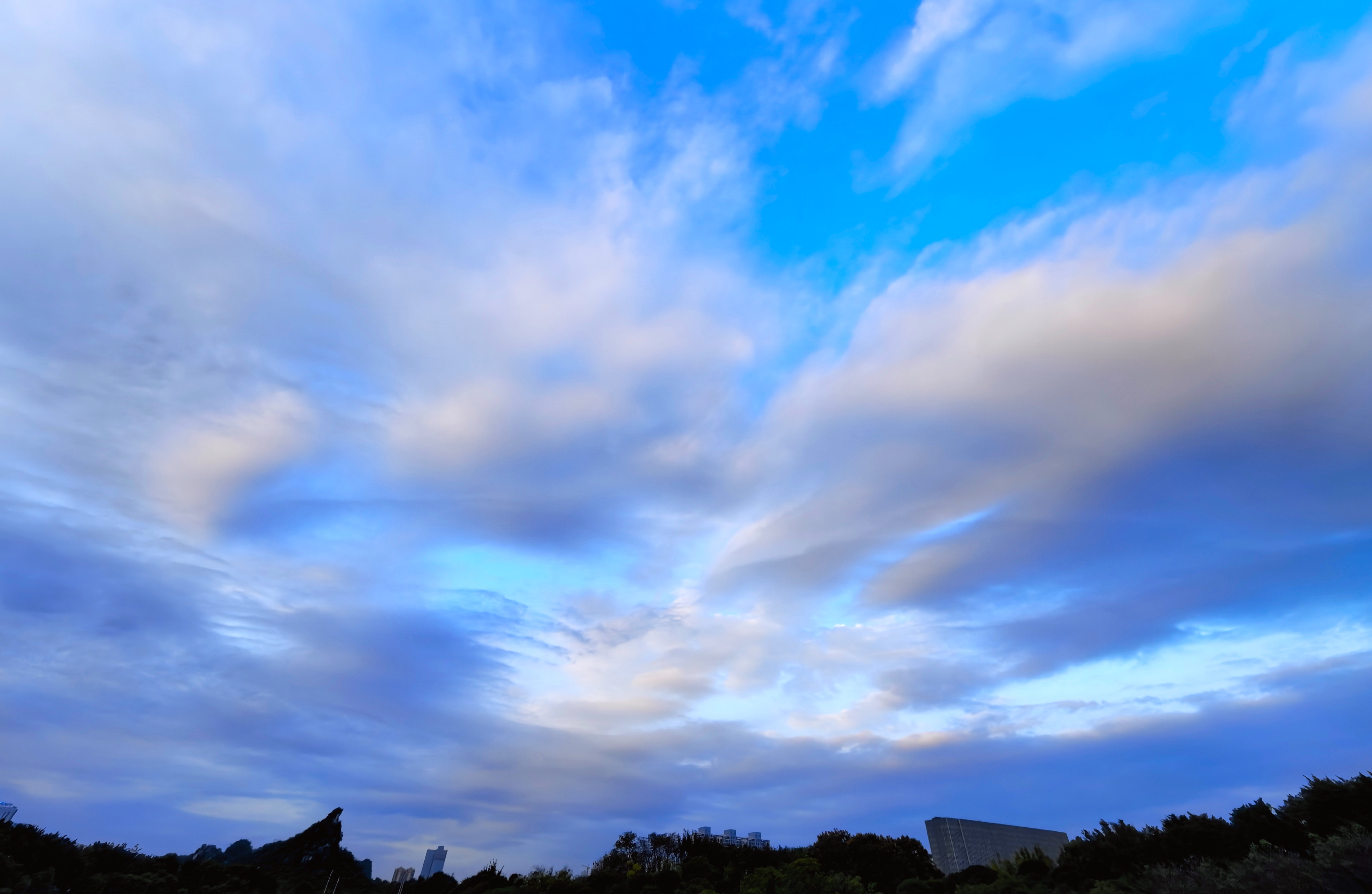 IMG_20251019_174733.jpg