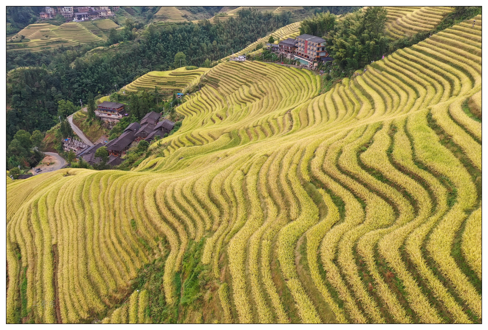 DJI_0697.jpg