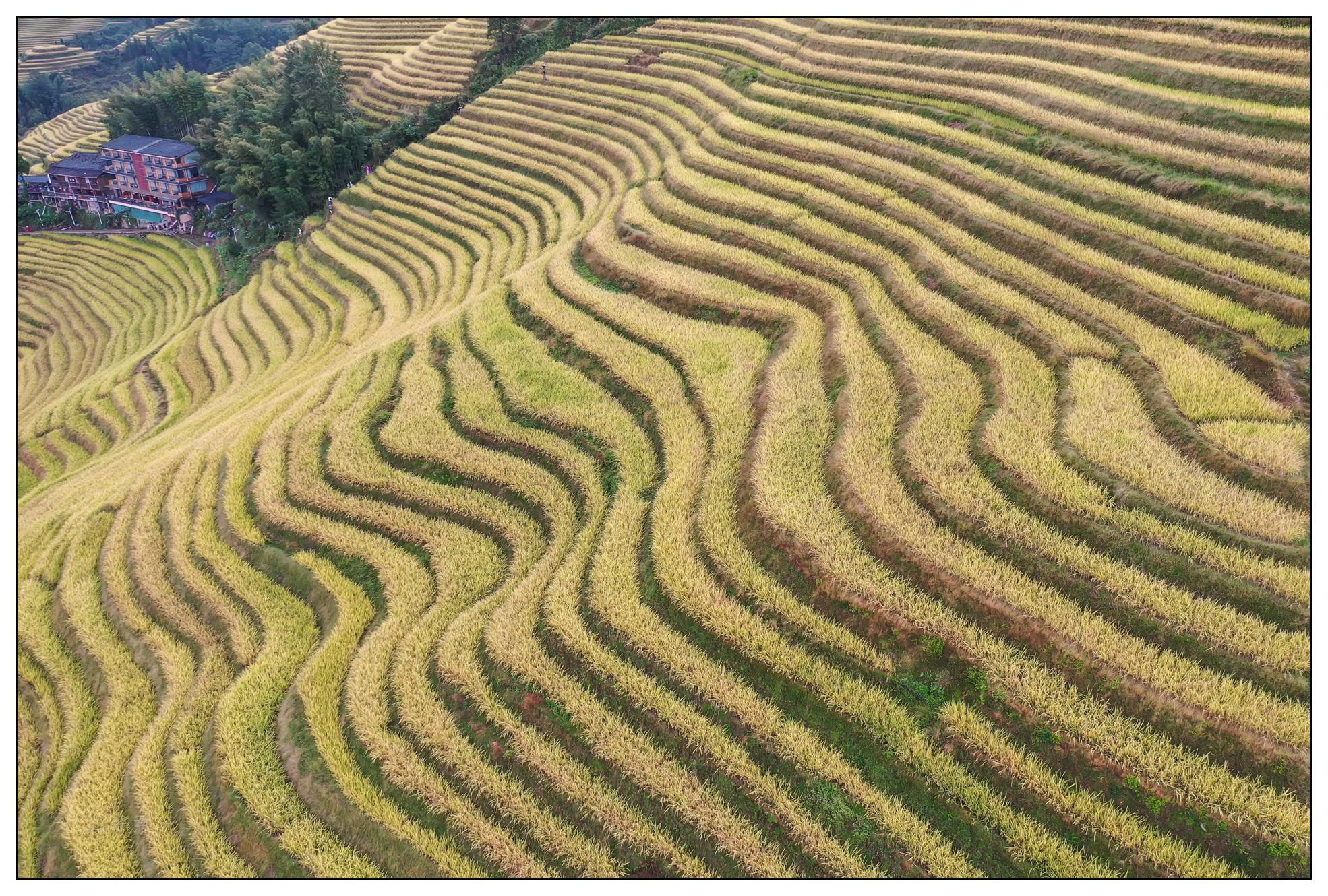 DJI_0703.jpg