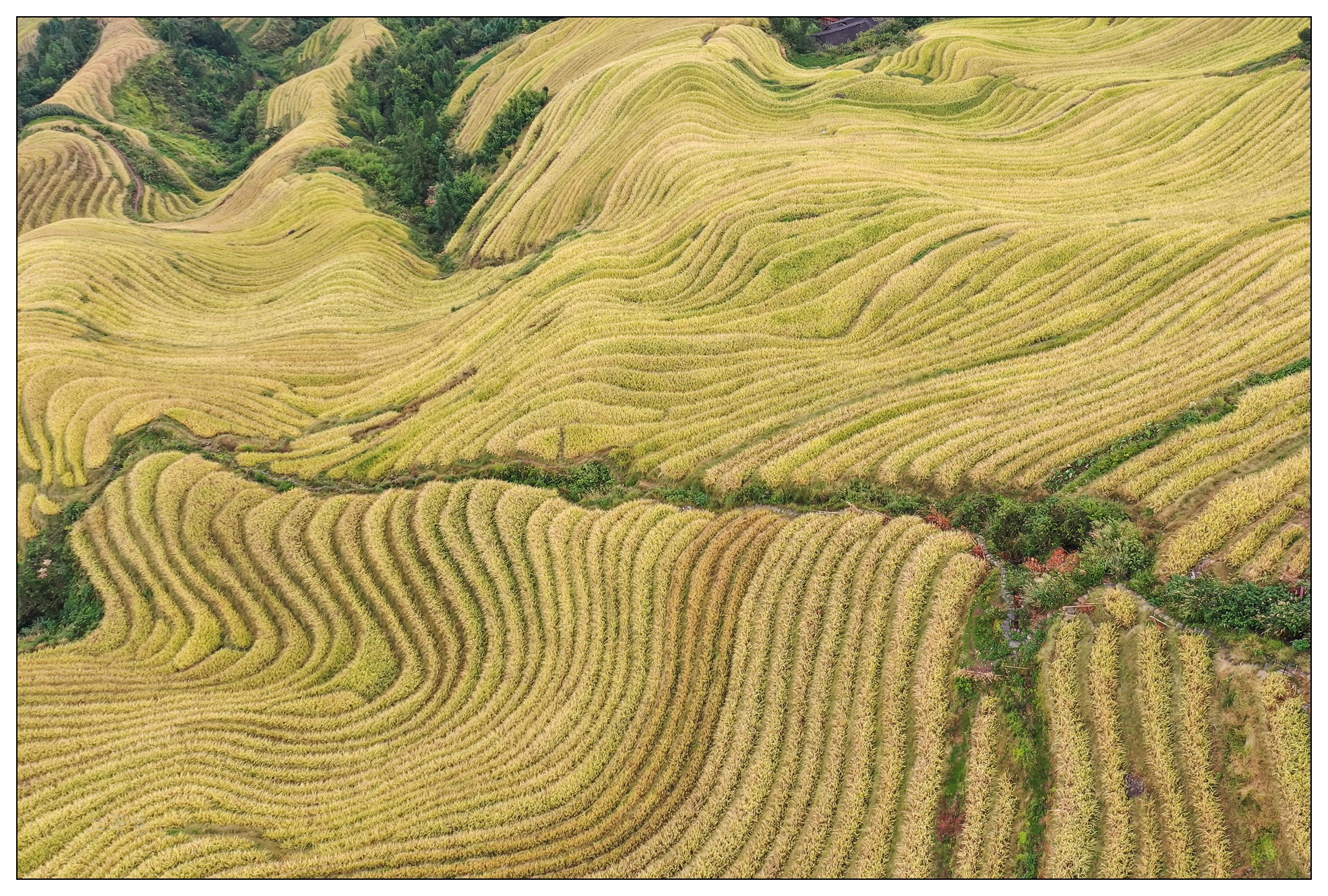 DJI_0720.jpg