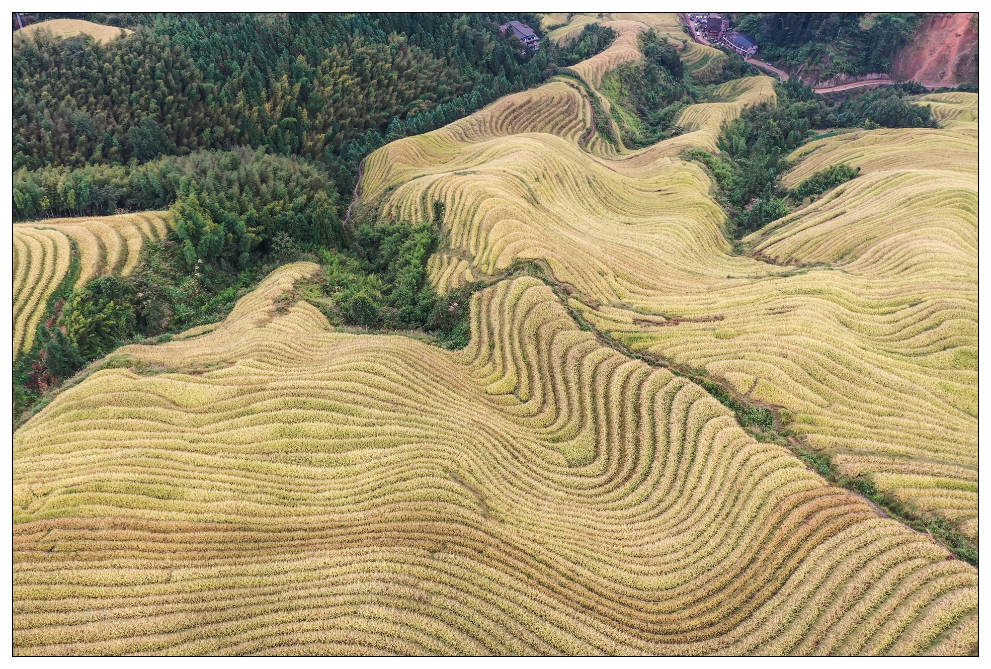 DJI_0729.jpg