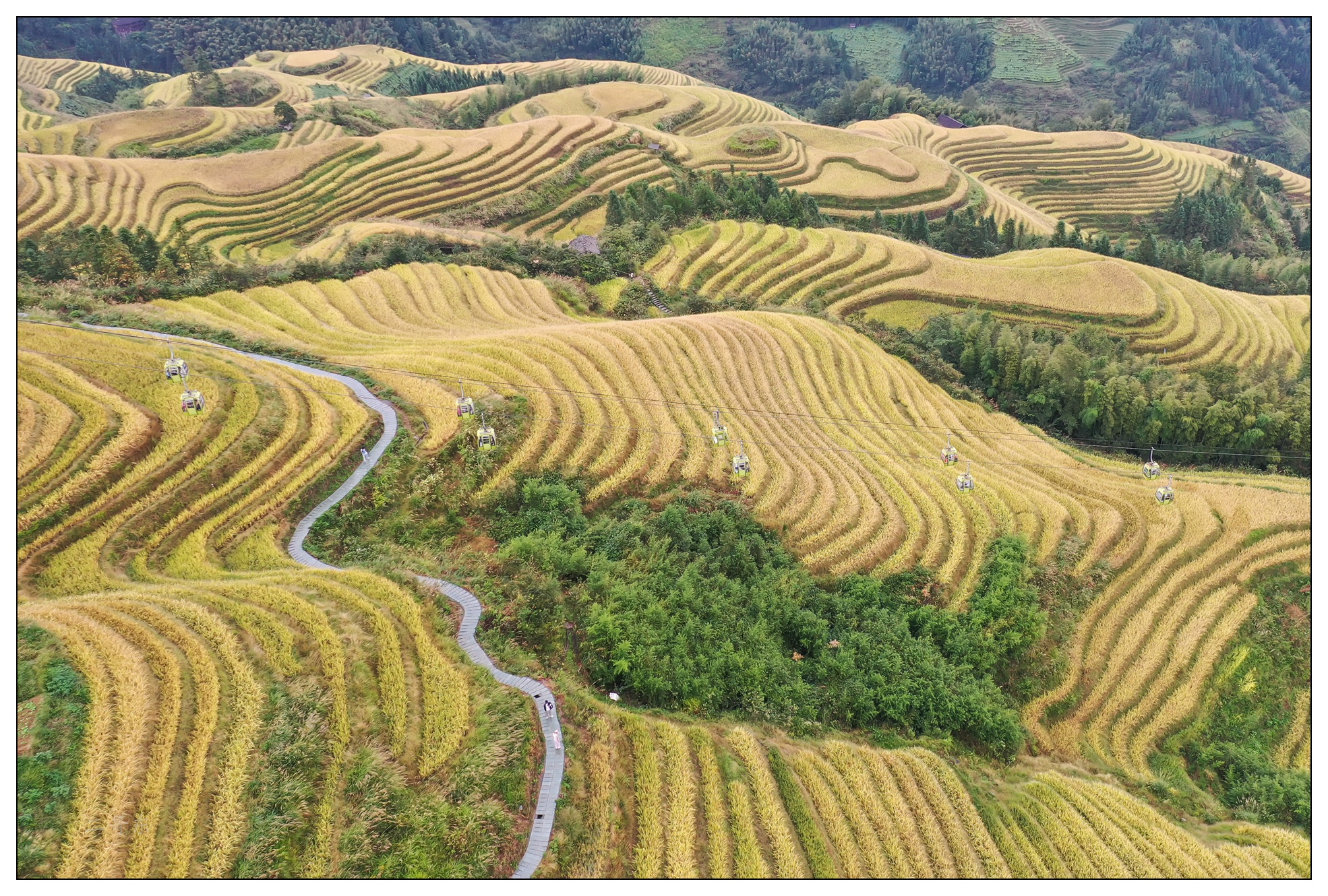 DJI_0747.jpg