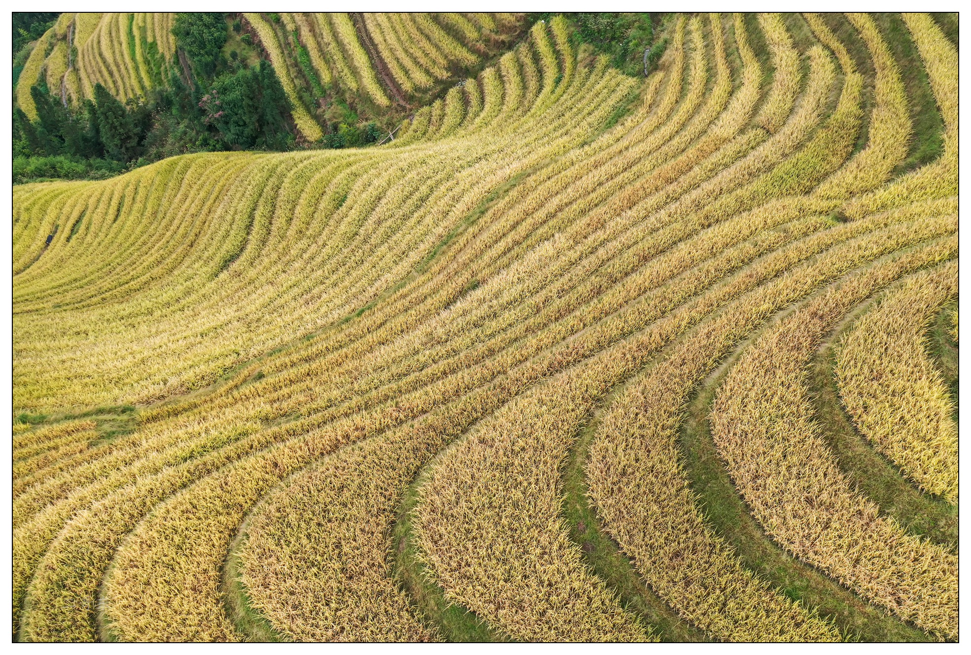 DJI_0814.jpg