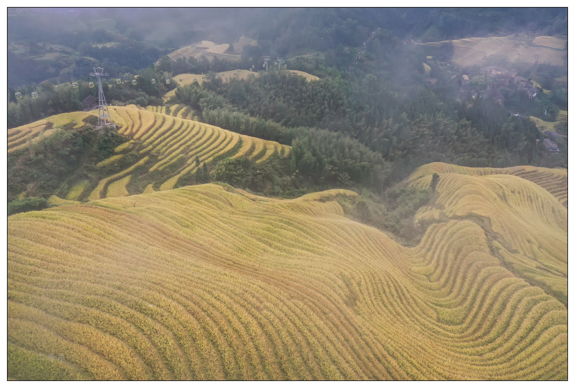 DJI_0924.jpg