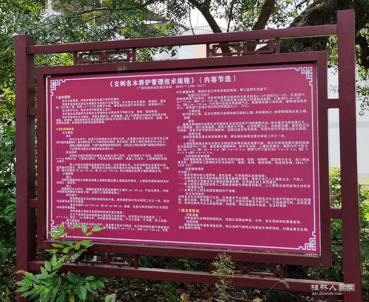 20251021083258front2_0_2066371_FkDkLw1mkj_HdE7elXhfFO1IKpLP.jpg
