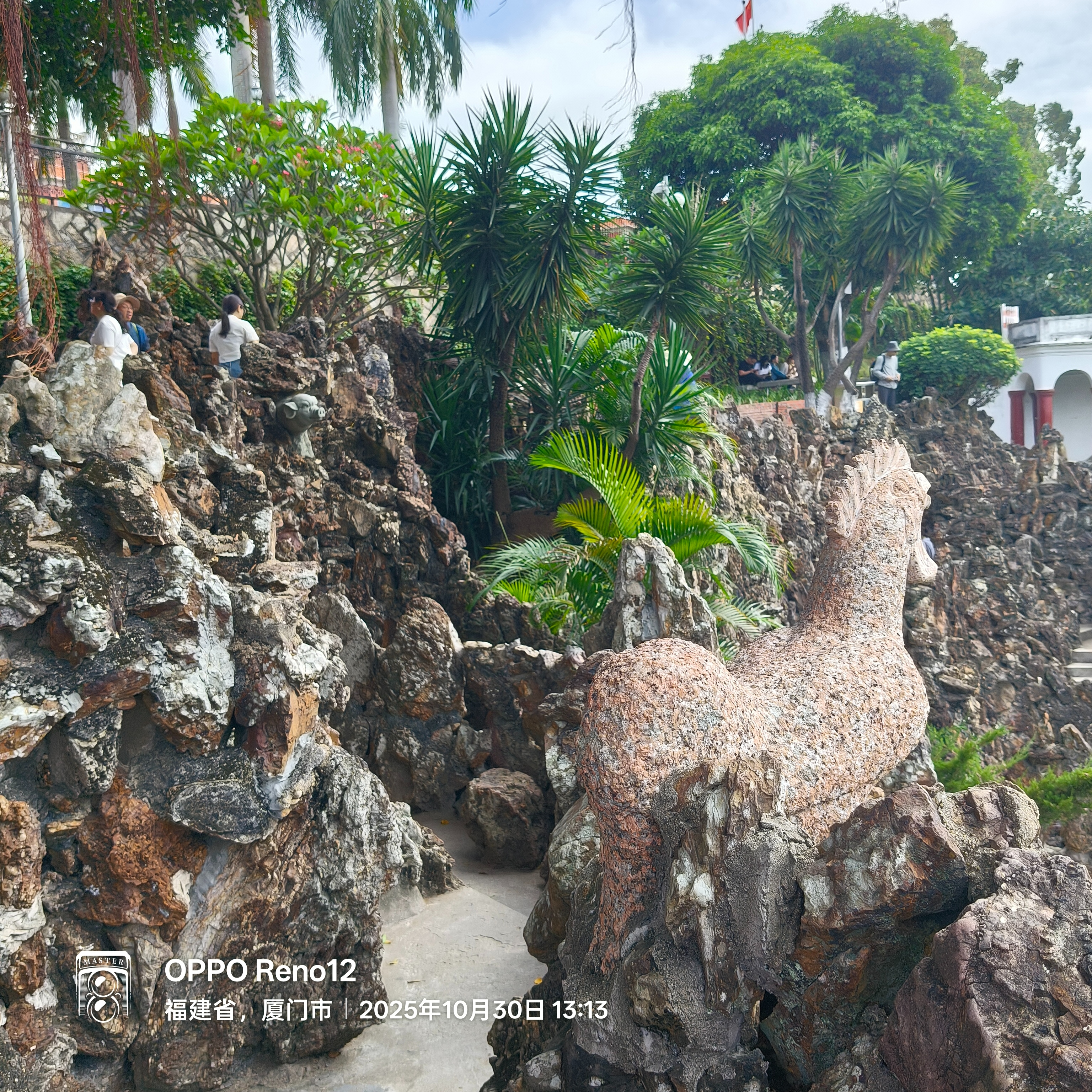 十二生肖中的鸡