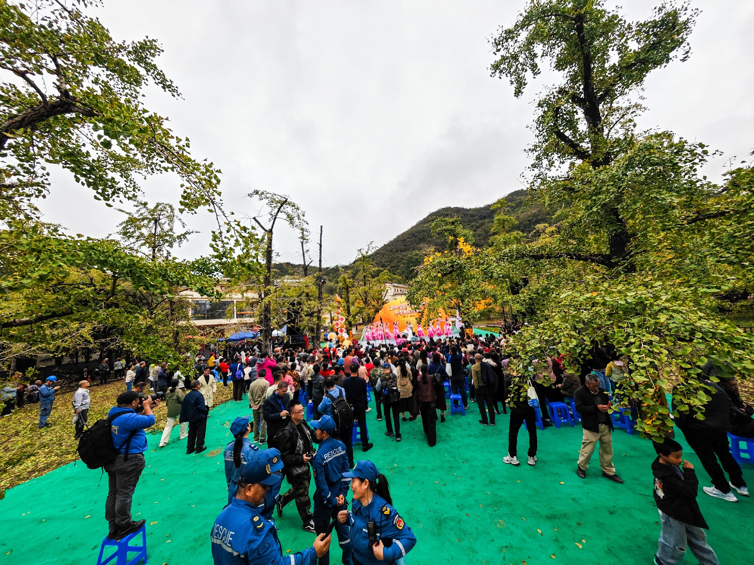 IMG_20251108_110130-99 [ 2400 ߶ 1800].jpg