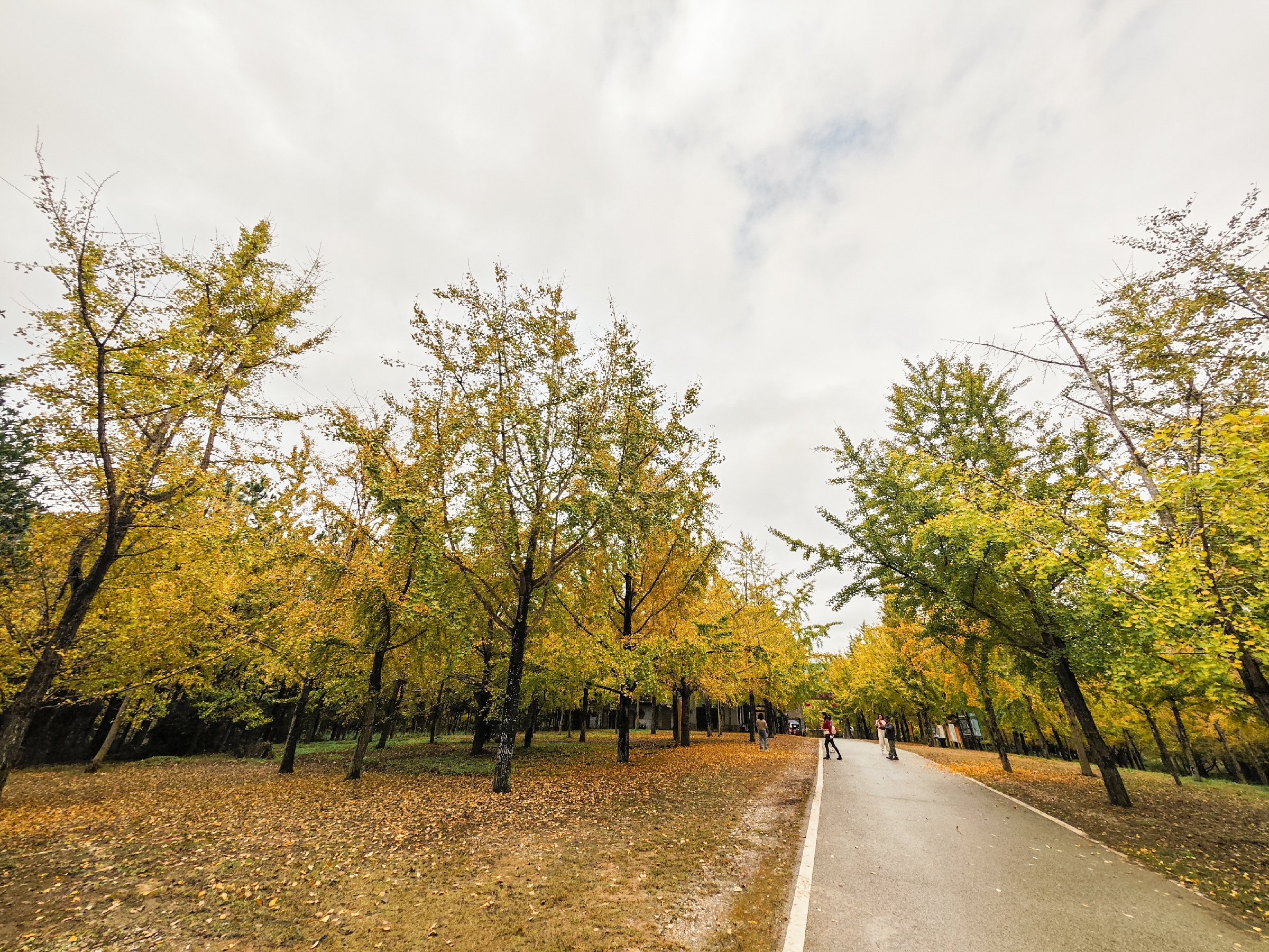 IMG_20251108_115533-104 [ 2400 ߶ 1800].jpg