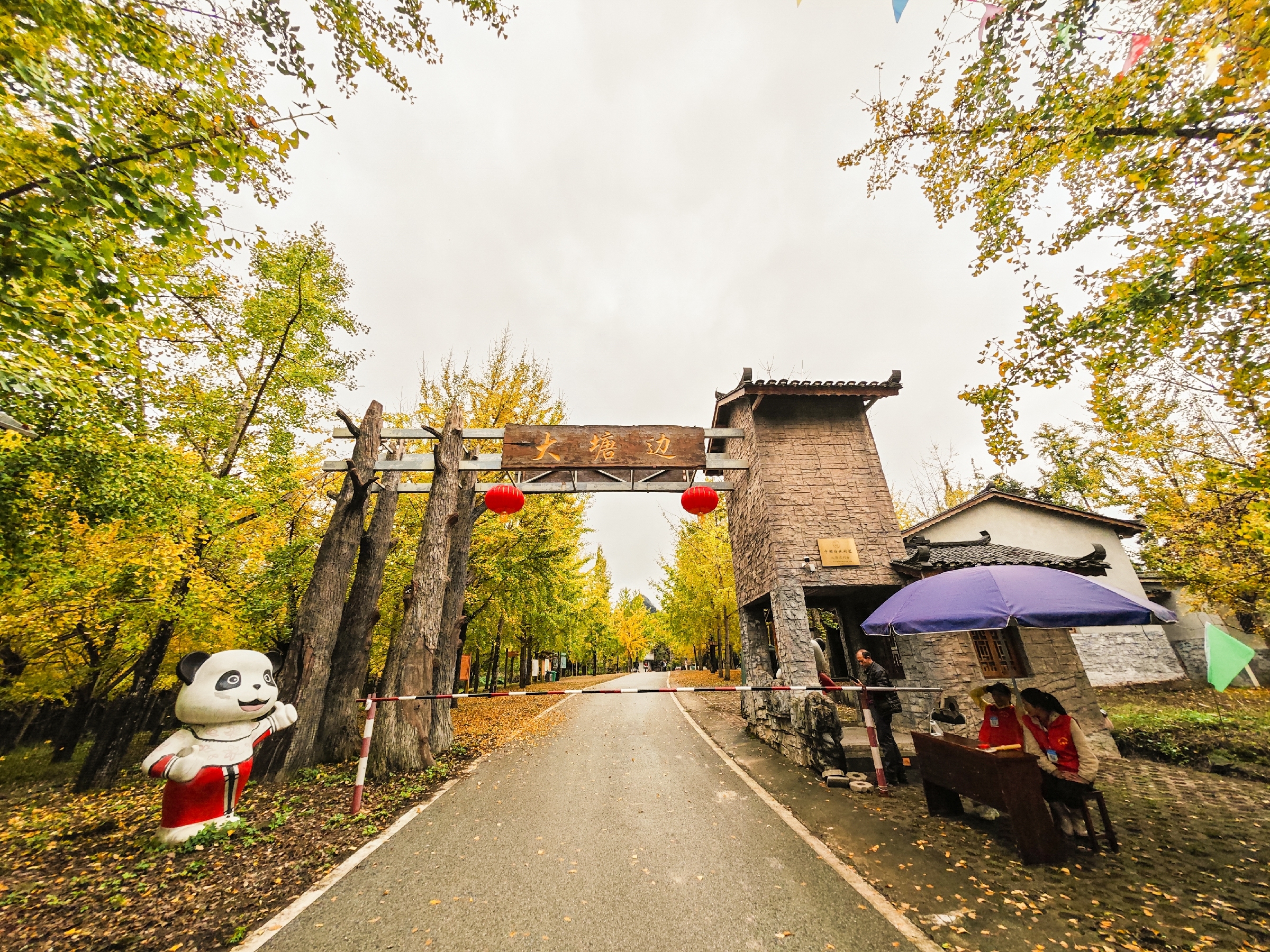 IMG_20251108_115806-107 [ 2400 ߶ 1800].jpg