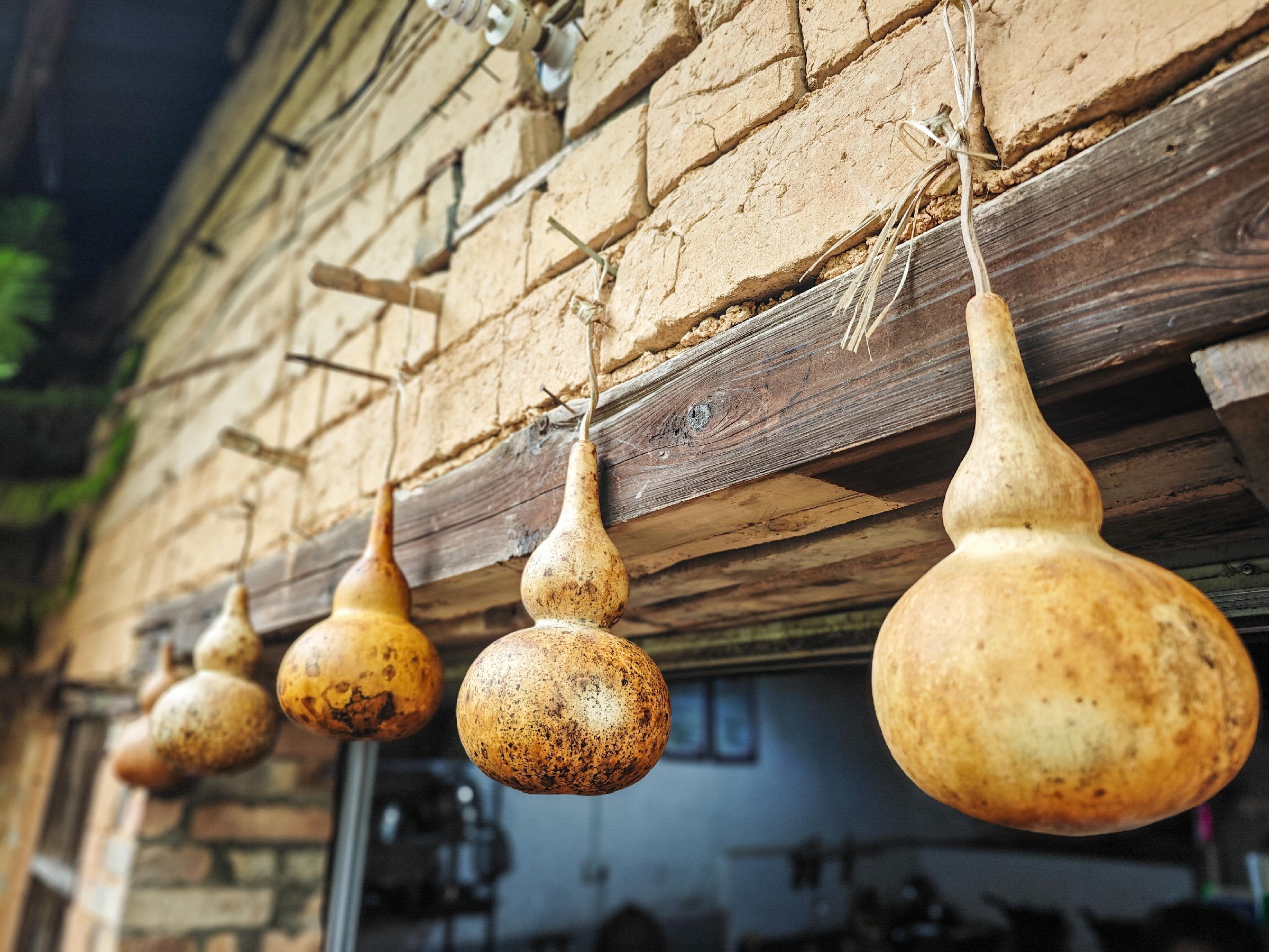 IMG_20251108_123127-109 [ 2400 ߶ 1800].jpg