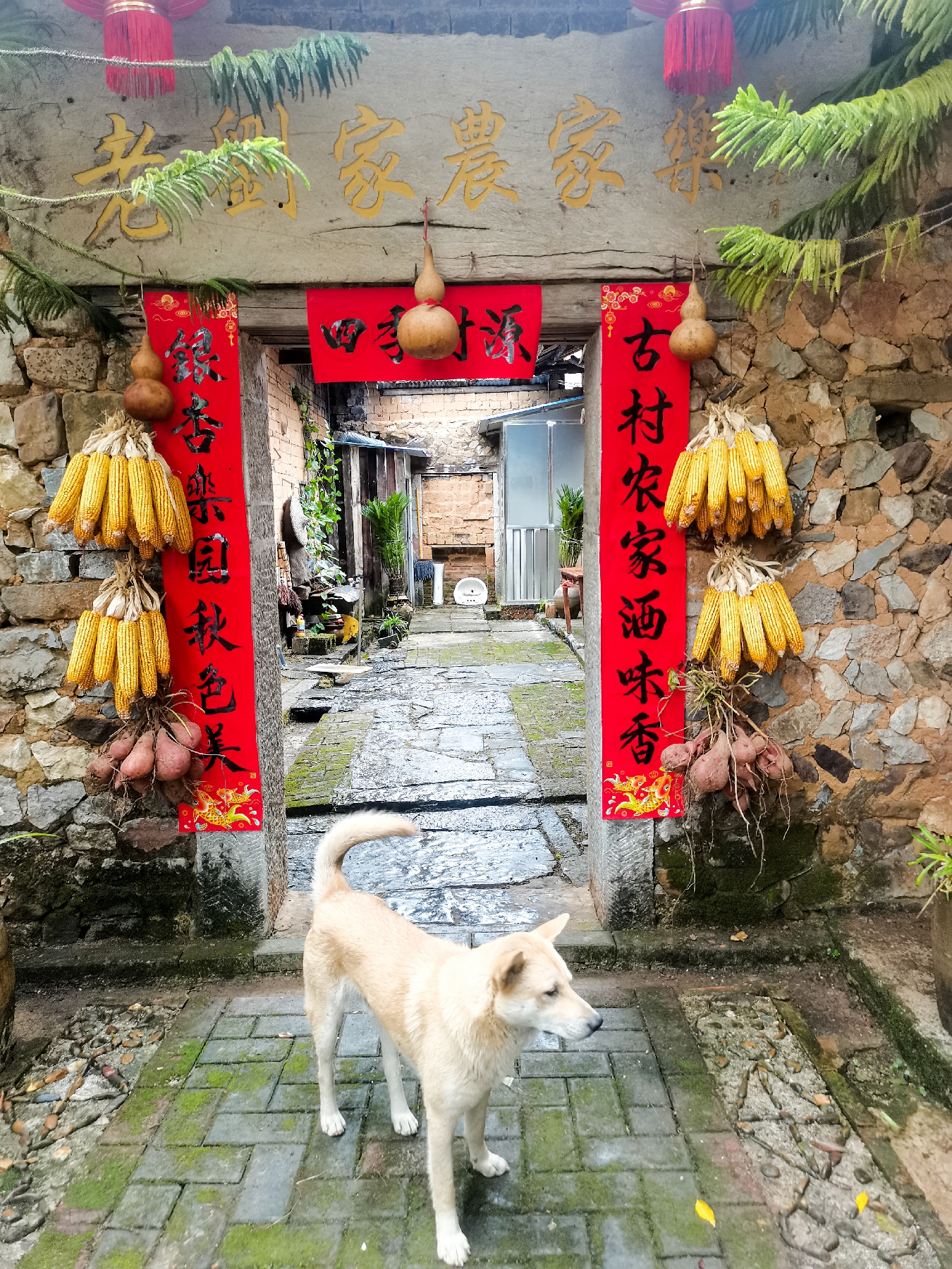 ΢ͼƬ_20251109150220_22_450-5 [ 2400 ߶ 1800].jpg