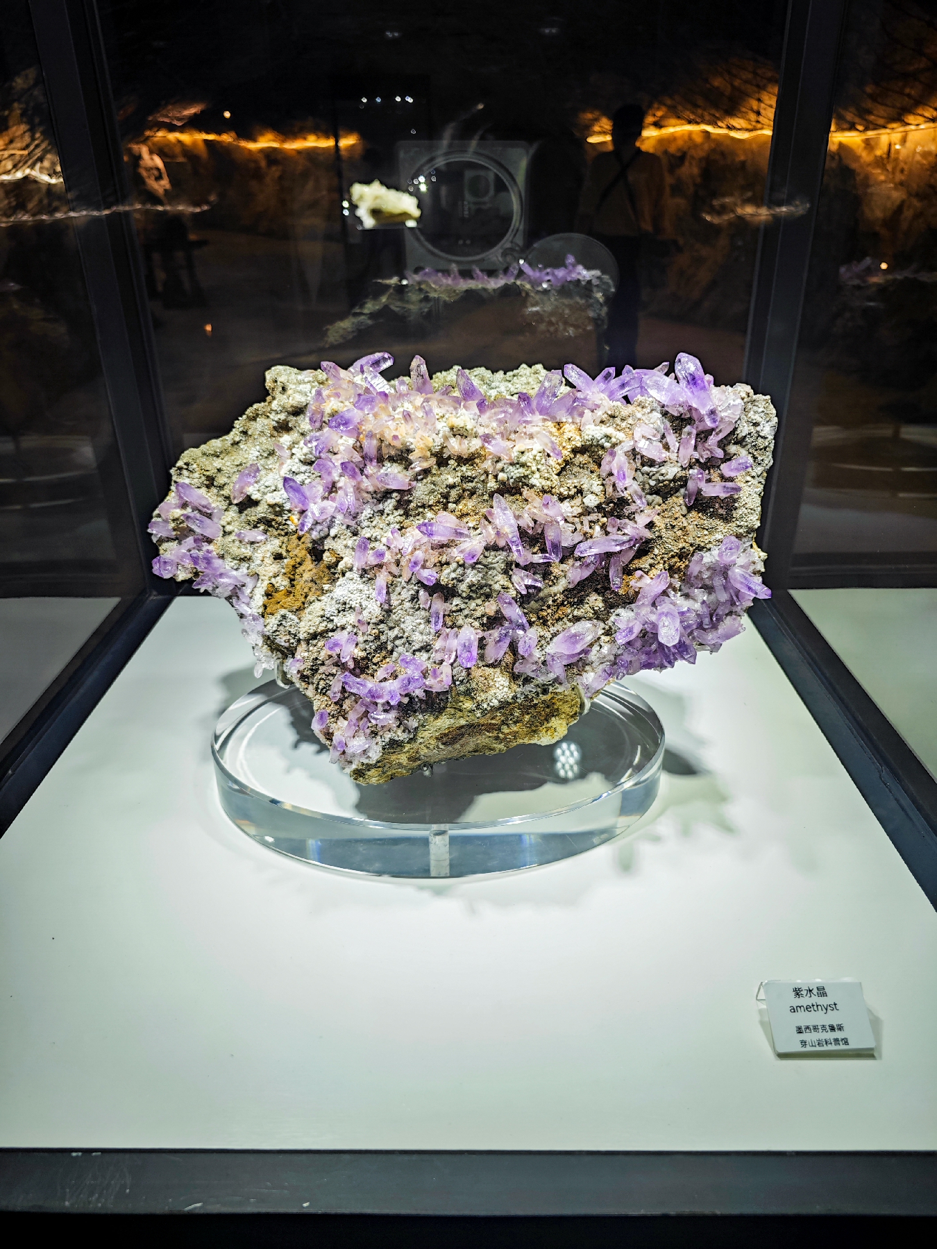 δ-170833 [ 2400 ߶ 1800].jpg