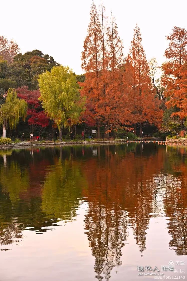 I2ZmZmZmZg_750_0_0_0_q80.webp (2).jpg