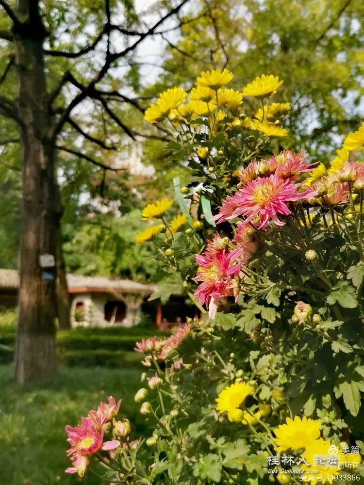 I2ZmZmZmZg_750_0_0_0_q80.webp (5).jpg